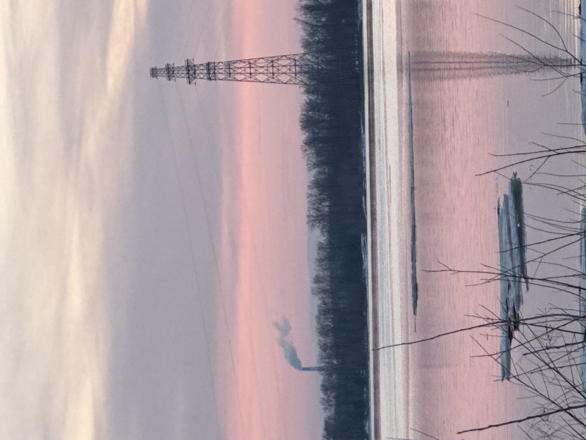 The image depicts an industrial landscape during a pink and gray sunset, likely in Chaikovsky, Russia. An electrical transmission tower dominates the skyline on the left, juxtaposed against a line of trees and a body of water reflecting the sunset colors. A plume of smoke rises from a smokestack, indicating industrial activity. Bare tree branches are in the foreground on the right.