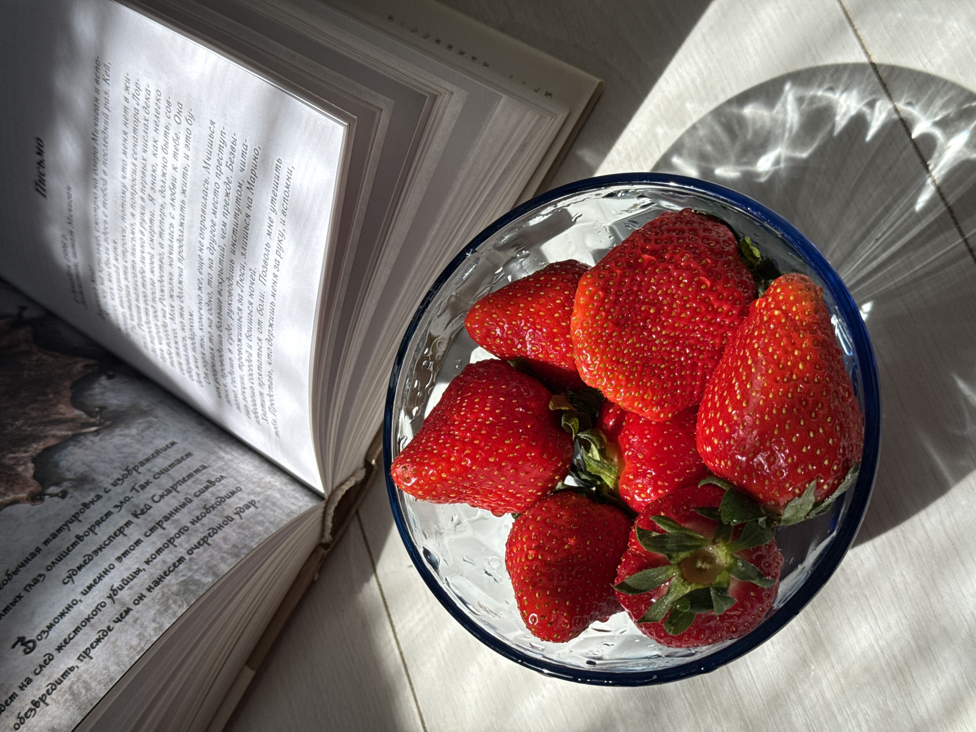 An overhead shot captures an open book and a bowl of fresh strawberries bathed in bright, natural sunlight. The scene is set indoors on a light-colored, possibly wooden or tiled, surface.
The central subject is a clear glass bowl with a blue rim, filled with vibrant red strawberries that appear freshly washed, with visible water droplets clinging to their surfaces. The direct sunlight highlights their texture and creates sparkling reflections from the bowl onto the surface, forming interesting light patterns.
To the left of the bowl, an open book rests, its pages illuminated by the same strong light source. The sunlight casts soft shadows from the book onto the surface. The book is in Russian, and the visible text provides significant clues. One page is titled "Письмо" (Letter) and appears to be a personal, emotional letter mentioning themes of loss, love, and urging someone named "Кей" (Kay) to continue living despite grief. Another visible section describes a "татуировка с изображением злых глаз" (tattoo with evil eyes) that "олицетворяет зло" (personifies evil). It mentions a "судмедэксперт Кей Скарпетта" (medical examiner Kay Scarpetta) tracking a "жестокого убийцы" (brutal killer), clearly identifying the book as a crime novel featuring the character Kay Scarpetta. Names like "Марино" (Marino) and "Люси" (Lucy) are also present in the text.
The strong, angled shadows suggest either early morning or late afternoon, creating a calm and inviting atmosphere, possibly for reading and a light snack.