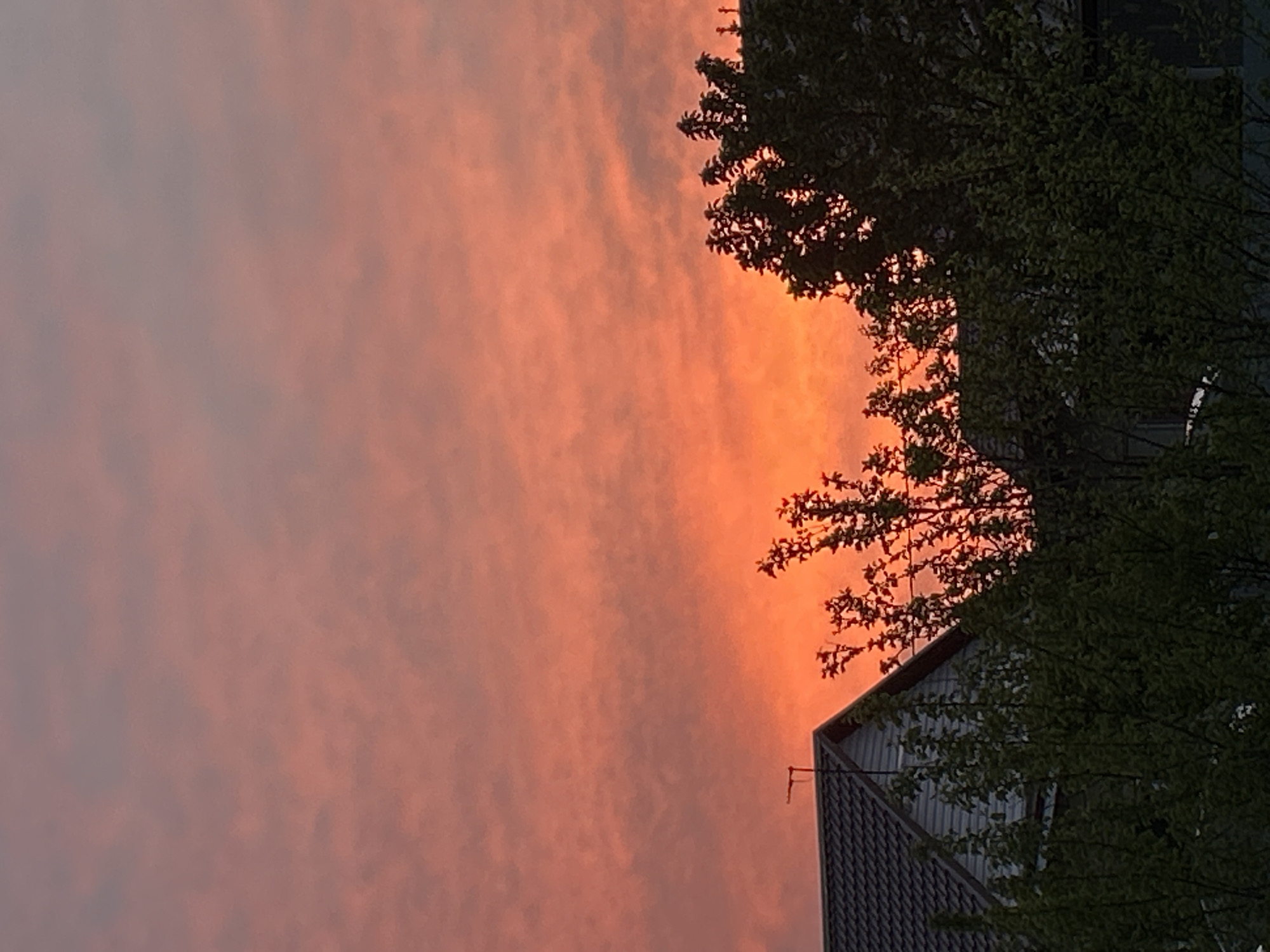 The image shows a sunset in Узюково, Russia. The sky is a mix of pink, orange, and gray hues. Trees and a building are silhouetted against the sky. The building has a dark gray roof and a visible antenna. Green leaves are visible on the branches of the trees.