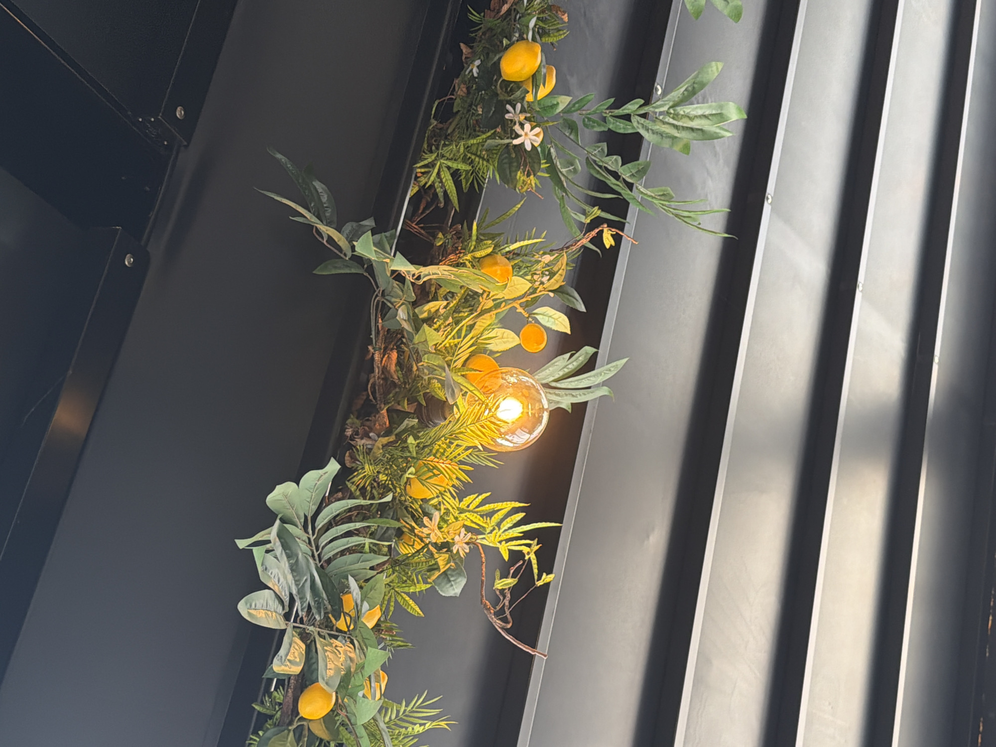 An upward angle shot shows a decorative display with citrus fruit and greenery, intertwined with a lit lightbulb, against a backdrop of a dark-colored wall with vertical ribbed panels and a dark, flat wall. The scene suggests an interior setting. The location is unspecified, and Bulgaria is not discernible from this image.