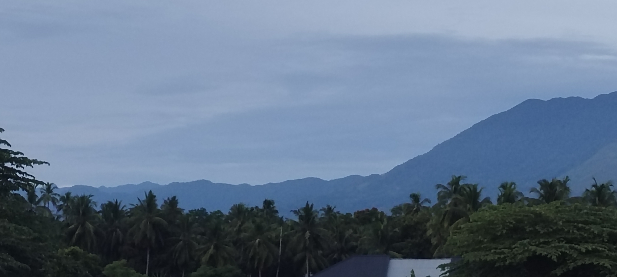 The image shows a landscape scene with mountains, palm trees, and a cloudy sky. The mountains are in the background, with rolling hills and peaks covered in blue haze. In the midground, there is a dense cluster of palm trees, with their fronds silhouetted against the sky. In the foreground, there are some lush green trees, and the roof of a building is visible. The sky is overcast with a soft, diffused light. The scene appears to be a view from a slightly elevated position, looking out over a tropical or subtropical landscape. The location is specified as Reuhattuha, Indonesia, which suggests a humid, tropical climate suitable for palm trees and lush vegetation. The overall mood of the image is serene and tranquil, with the cloudy sky adding a sense of calm. There are no people or animals visible in the image, and no specific actions or interactions are depicted. The focus is on the natural environment and the expansive landscape.