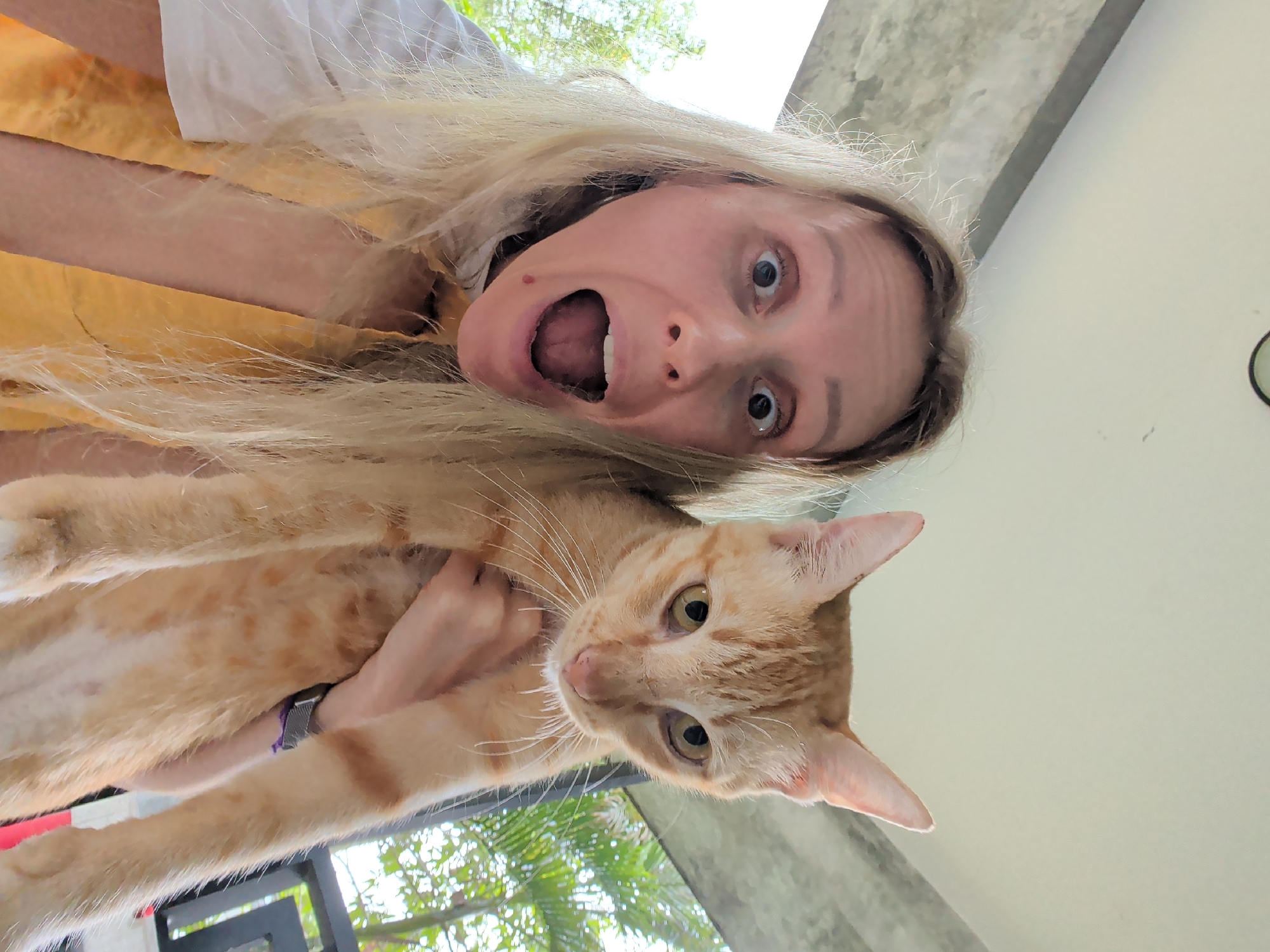 A woman is holding an orange tabby cat while taking a selfie-style photograph. The woman has fair skin, blonde hair, and is wearing a yellow top with a white shirt underneath. She is making an exaggerated facial expression with her mouth open wide and eyes wide. The cat is looking towards the camera with its ears perked up. The background suggests an outdoor or semi-outdoor location with foliage visible, possibly from the city of Ko Pha-ngan, Thailand, given the tropical vegetation and architectural elements. A concrete wall or structure is also partially visible in the background. The woman is wearing a wristband or watch on her left wrist. The lighting appears to be natural daylight.