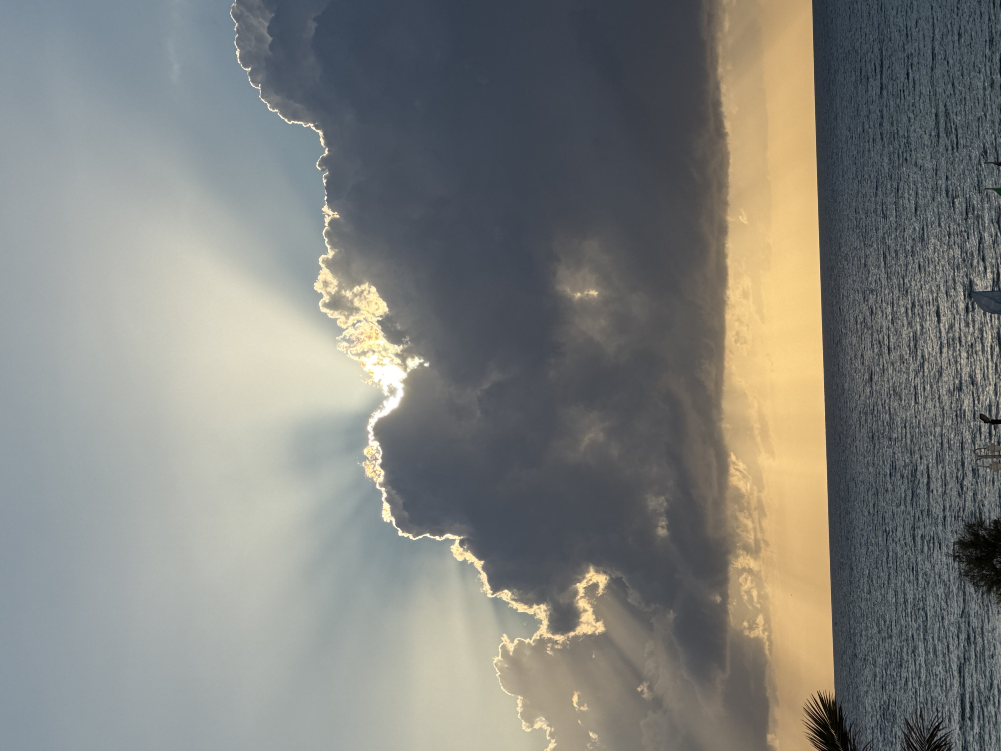 This is a vertical, eye-level shot of a dramatic sky over the sea, likely taken at sunset or sunrise. A large, dark cloud dominates the upper half of the frame, with bright rays of sunlight piercing through its edges, creating a crepuscular effect. The sun itself is obscured by the cloud. Below the cloud, the sky transitions into a warm, golden hue, casting an orange glow over the horizon. The sea occupies the bottom third of the image, appearing dark and slightly choppy, reflecting the muted tones of the sky. In the far left of the frame, the fronds of a palm tree are partially visible, suggesting a tropical or Mediterranean location. The very bottom of the image shows a sliver of land with some sparse vegetation and what appears to be beach umbrellas or small structures, hinting at a coastal resort area. Given the presence of palm trees and the sea, and the characteristic golden light, this scene is consistent with views from the coastal areas of Isola delle Femmine, Italy, potentially from a vantage point overlooking the Gulf of Palermo. There are no people clearly visible in the frame, and no specific actions or interactions are depicted. The focus is entirely on the natural spectacle of the sky and sea.
