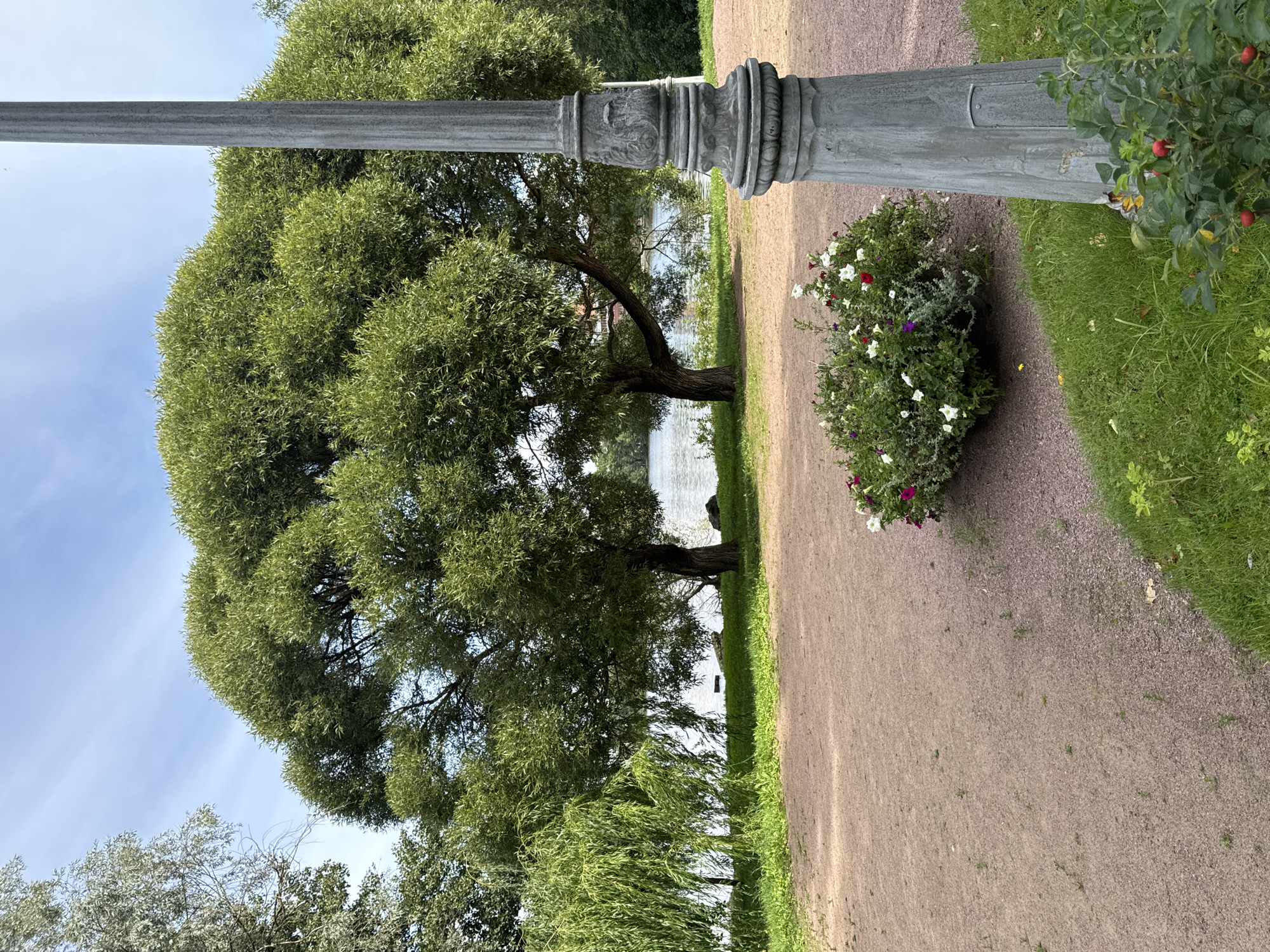 This is a photograph of a park scene in Sestroretsk, Russia, likely during daytime given the natural lighting. In the foreground, a weathered, ornate lamppost stands to the right, its grey concrete structure detailed with decorative carvings. Beside the lamppost, a dense bush of flowering plants with white, red, and purple blooms is situated on a patch of green grass. Further left, a gravel path or walkway is visible. Beyond the path, a body of water, likely a lake or river, is seen. Several large, leafy trees with lush green foliage are prominent in the midground, with one particularly large, rounded tree dominating the center. To the far left, a weeping willow tree with long, drooping branches adds a different texture to the greenery. The background features more trees and a partly cloudy blue sky. The overall impression is one of a tranquil park setting.