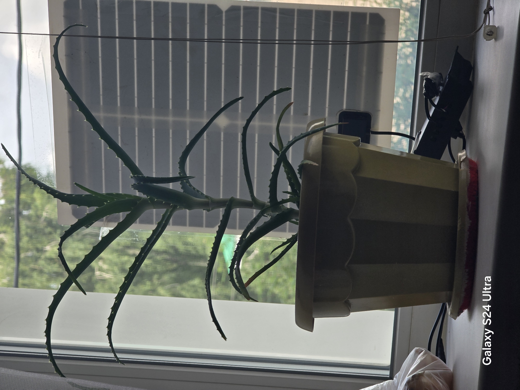 An aloe vera plant in a tan pot sits on a windowsill in Dyurtyuli, Russia. Behind the plant is a window with a solar panel and a sheer curtain. The plant has long, green, spiky leaves that arch outwards. The pot is cylindrical with a decorative rim and sits on a red base. A black power strip with several cables is plugged in and resting on the windowsill to the right of the pot. The lower right corner of the image displays the text "Galaxy S24 Ultra". The environment appears to be indoors with natural light streaming in from the window, suggesting it is daytime. The background outside the window shows blurred green foliage.