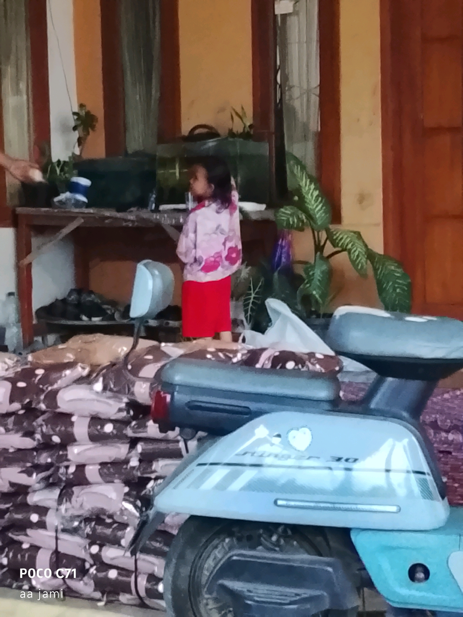 A low-angle, slightly blurry outdoor photograph captures a scene in Tasikmalaya, Indonesia. In the foreground, the light blue front panel of a scooter is visible, adorned with a heart decal and the text "DE JUR 30". The scooter's handlebars and seat are also present. Behind the scooter, stacks of goods wrapped in plastic packaging are piled high. These packages have a repeating pattern of brown and white circles on a beige background. A small portion of a darker package is visible to the right.
Further back, a young girl with dark hair is seen from the side, facing away from the camera. She is wearing a pink floral print long-sleeved shirt and a red skirt. She appears to be interacting with something out of frame. To her left, a wooden shelf holds various items, including what looks like a small aquarium with greenery inside, and a dark bag. A hand, possibly belonging to an adult, is reaching into the scene from the left, near the shelf. Behind the girl and the shelf, vertical brown and beige striped pillars suggest the presence of a building structure. Green leafy plants are visible in pots, adding to the outdoor environment. The overall lighting suggests it is daytime.