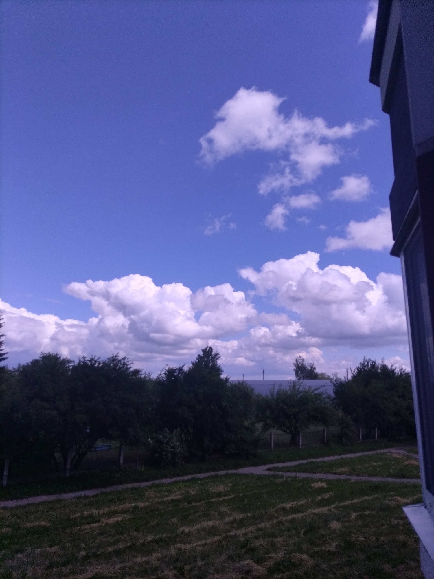 The image shows a view from a building overlooking a grassy area with a line of trees in the distance. The sky is a vibrant blue with scattered white clouds. A portion of a building's exterior, including a window frame, is visible on the right side of the image. The foreground is dominated by a field of dry grass with some pathways visible.