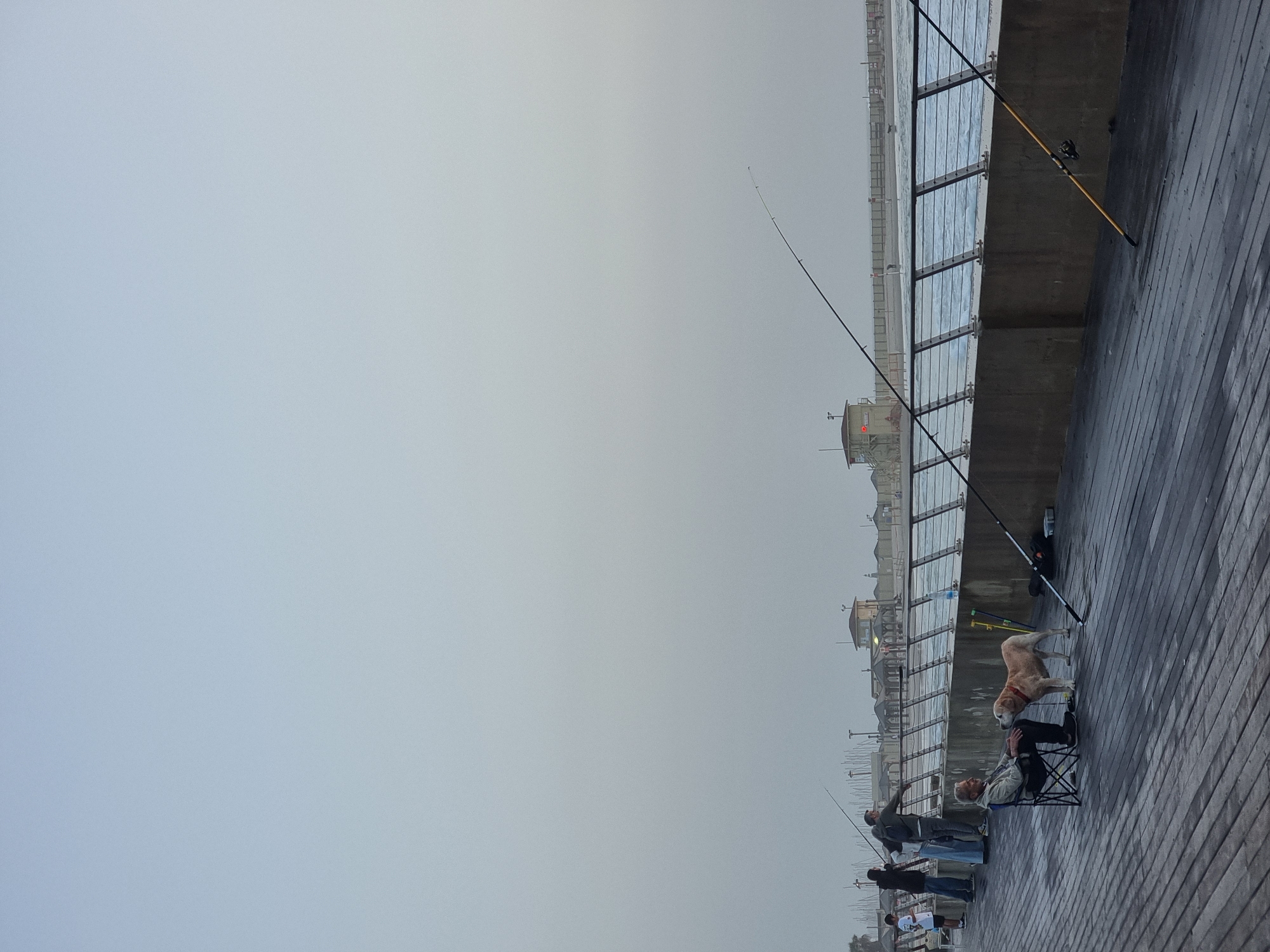 On a pier in Tel Aviv, Israel, several people are fishing on a gray, overcast day. A concrete barrier with metal railings separates the pier from the water. Fishing rods are propped against the barrier. A man sits in a folding chair, petting a large dog. Other people stand nearby, holding fishing rods. The pier is made of weathered planks. In the background, buildings and a marina are visible. The atmosphere suggests a calm, leisurely activity.