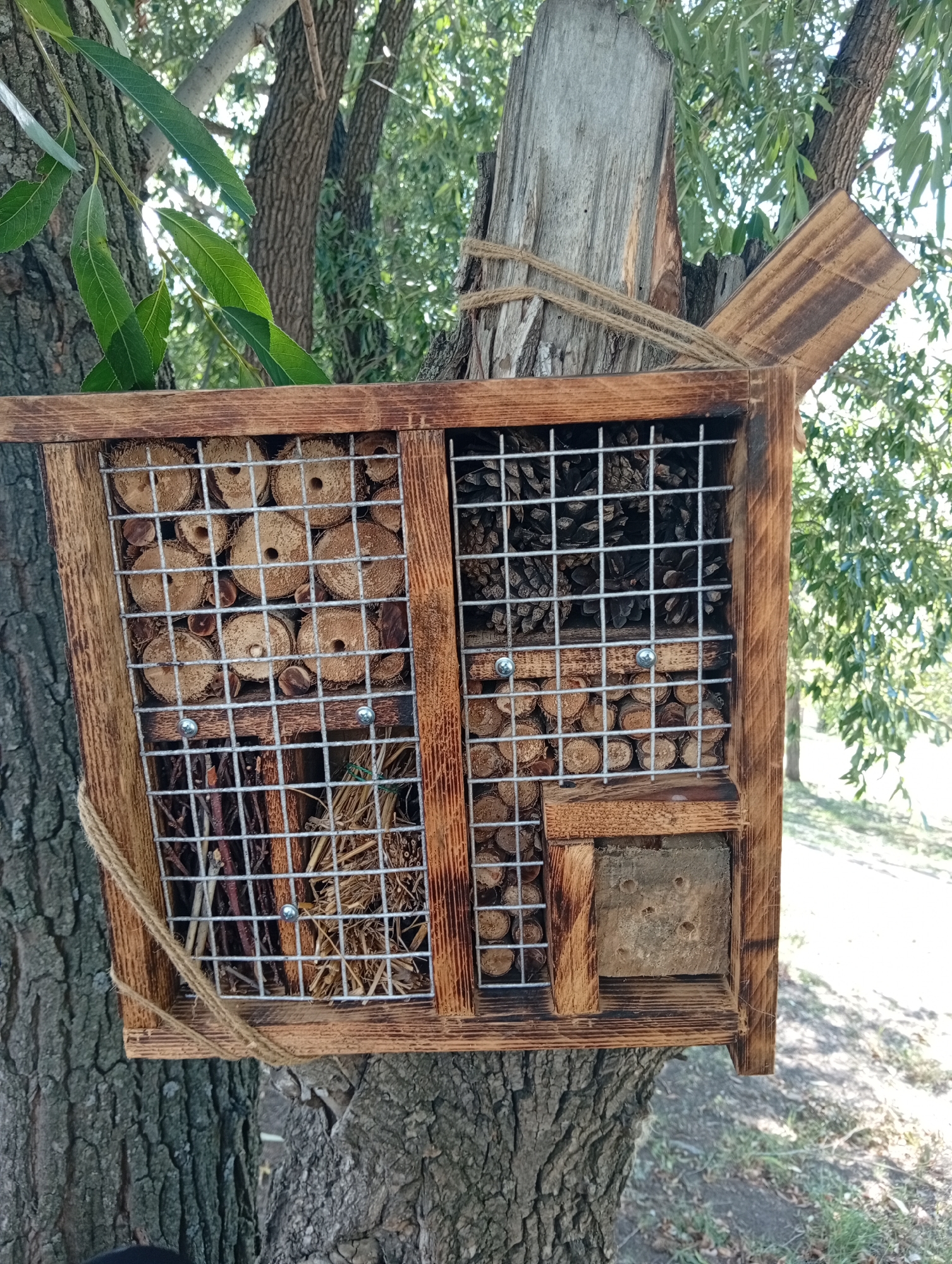 This is a medium-shot, eye-level, outdoor, vertical, full-body shot of a wooden insect hotel attached to a tree trunk in Мичурин ауылдық округі, Kazakhstan. The insect hotel is made of rough-hewn wood and is divided into several compartments. The left side of the hotel is filled with drilled logs of various sizes, and the bottom compartment contains dry grass and twigs. The right side of the hotel is filled with pinecones and more drilled logs. A small block of material with drilled holes is visible in the lower right corner. The insect hotel is secured to the tree trunk with rope. The background shows the bark of the tree, green foliage from the tree and other trees, and a blurry area of grass and ground. The lighting suggests it is daytime with sunlight filtering through the leaves.
