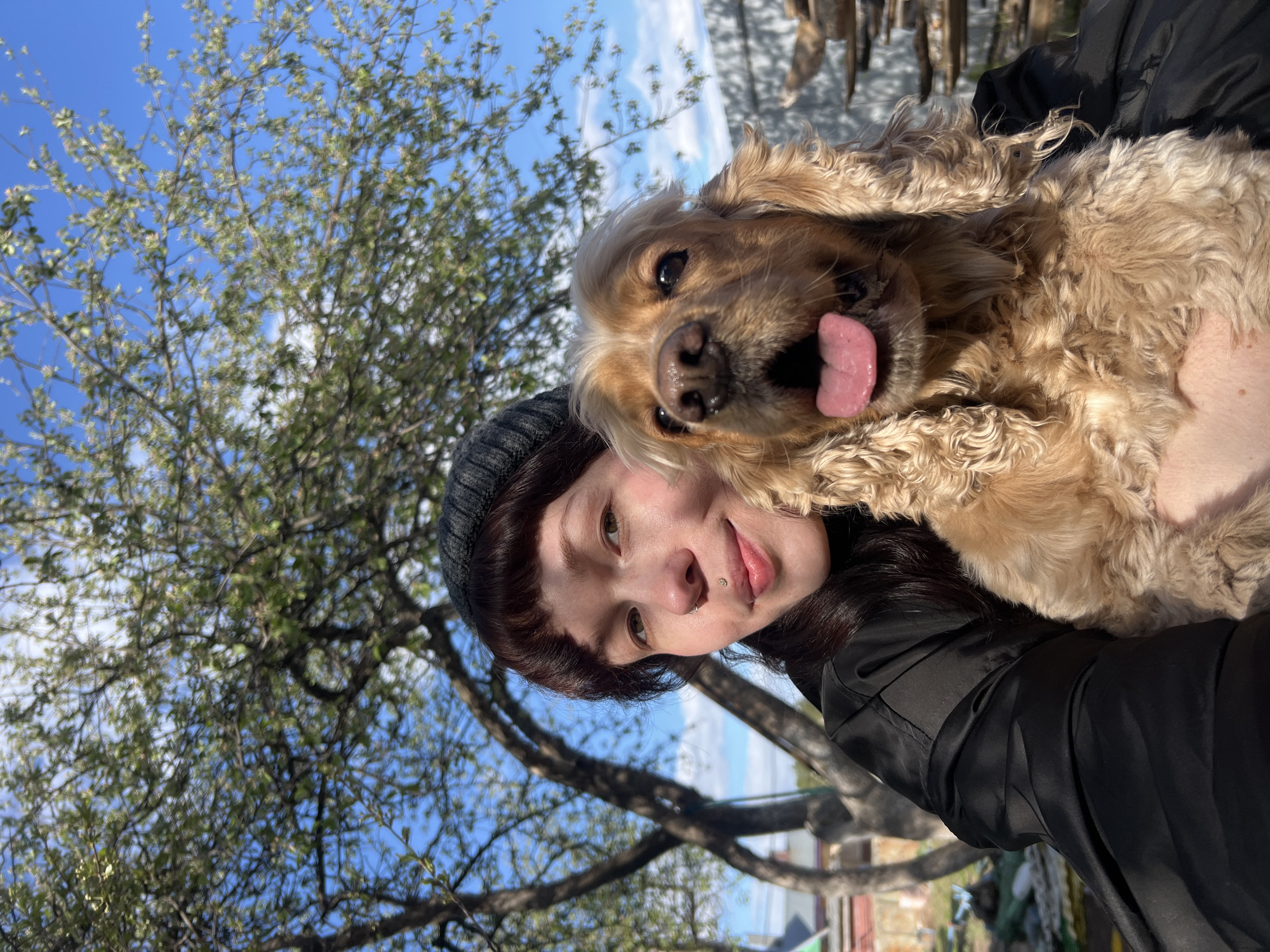 A woman wearing a black beanie and a black jacket is holding a tan Cocker Spaniel dog. The dog has its tongue out and is looking at the camera. They are outside in front of a tree with budding leaves. The sky is blue with some white clouds. The image was taken in Chaikovsky, Russia.
