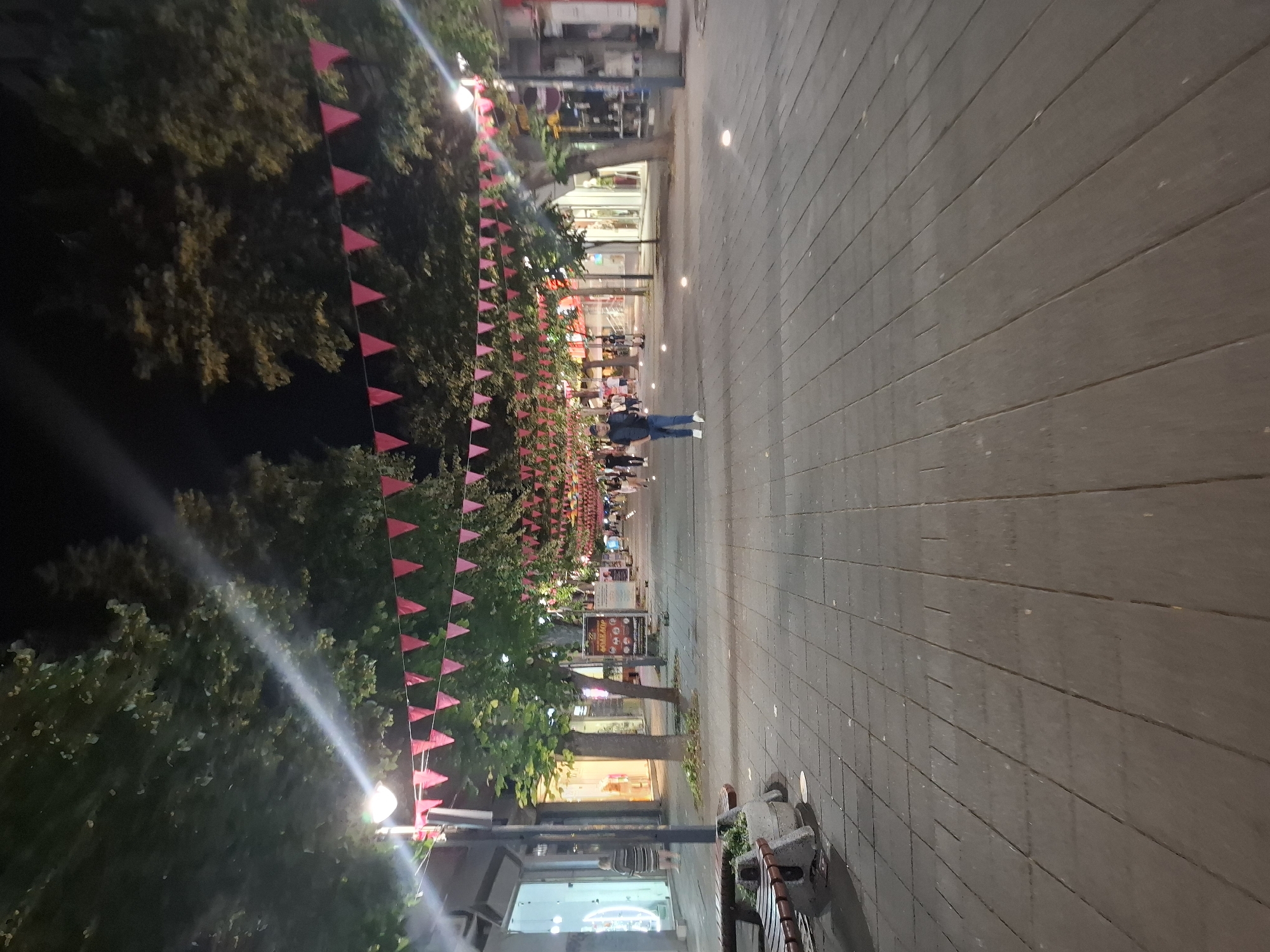 A nighttime shot captures a pedestrian street adorned with festive pink triangular flags strung between trees. The paved walkway, lined with shops and trees, is illuminated by streetlights and small ground lights. A lone man in a dark jacket and blue jeans stands in the middle of the street, facing away from the camera. Other individuals are visible walking further down the street. Benches are positioned along the side of the walkway.