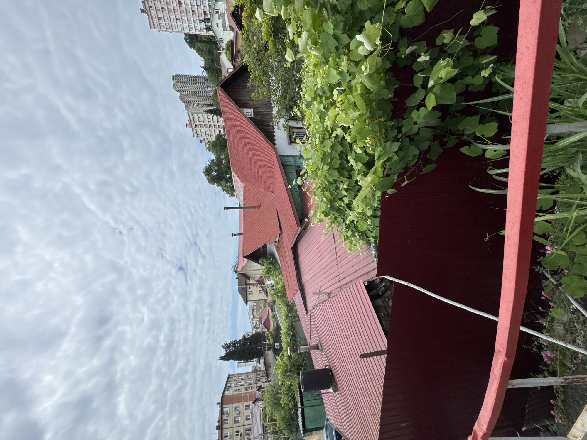 A high-angle medium shot captures a view of residential buildings and vegetation against a cloudy sky in Sochi, Russia. In the foreground, a vibrant red railing frames the lower portion of the scene. Behind it, a dark red metal fence runs horizontally across the image, partially obscured by lush green grapevines. Several houses with red corrugated metal roofs are visible, with one featuring a light-colored facade and a wooden section adorned with the number "211" above the entrance. A tall, dark cylindrical chimney protrudes from one of the roofs. In the background, multi-story apartment buildings rise against the overcast sky. The overall impression is of a densely populated residential area with a mix of older and more modern architecture, interspersed with abundant greenery.