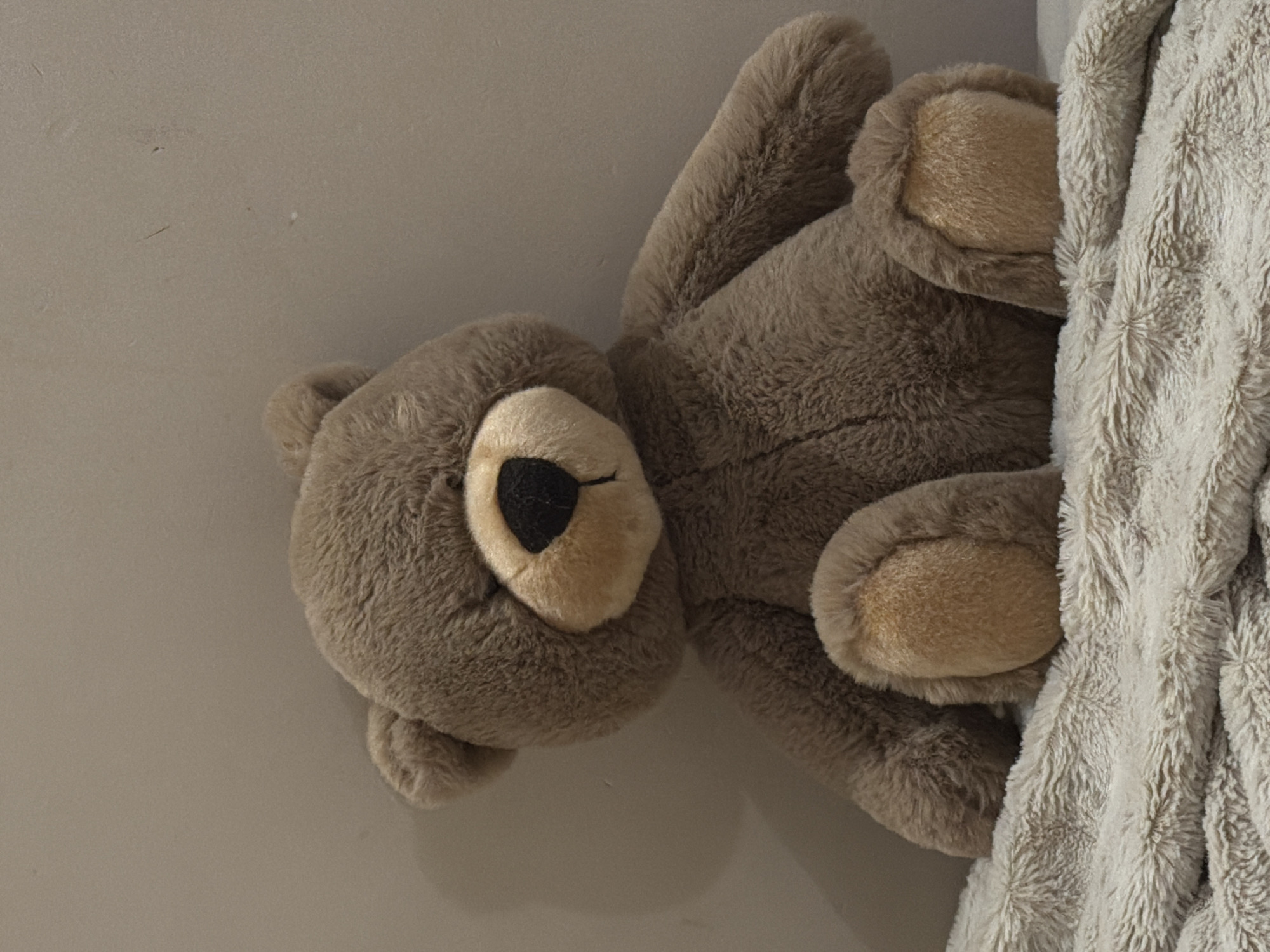 The image displays a brown plush teddy bear resting in a seated position on a textured, light beige faux fur blanket. The bear is predominantly dark brown with a lighter tan snout and a black, oval-shaped nose; no eyes are distinctly visible. Its body, limbs, and ears are covered in soft fur. The background consists of a plain, solid light gray-brown wall, which exhibits subtle surface variations, including fine linear marks and small punctate blemishes visible upon close inspection. No human subjects are present, and no actions or interactions are depicted. The visual content of the image provides no verifiable indicators to ascertain its geographic location, including the city of Tallinn, Estonia.