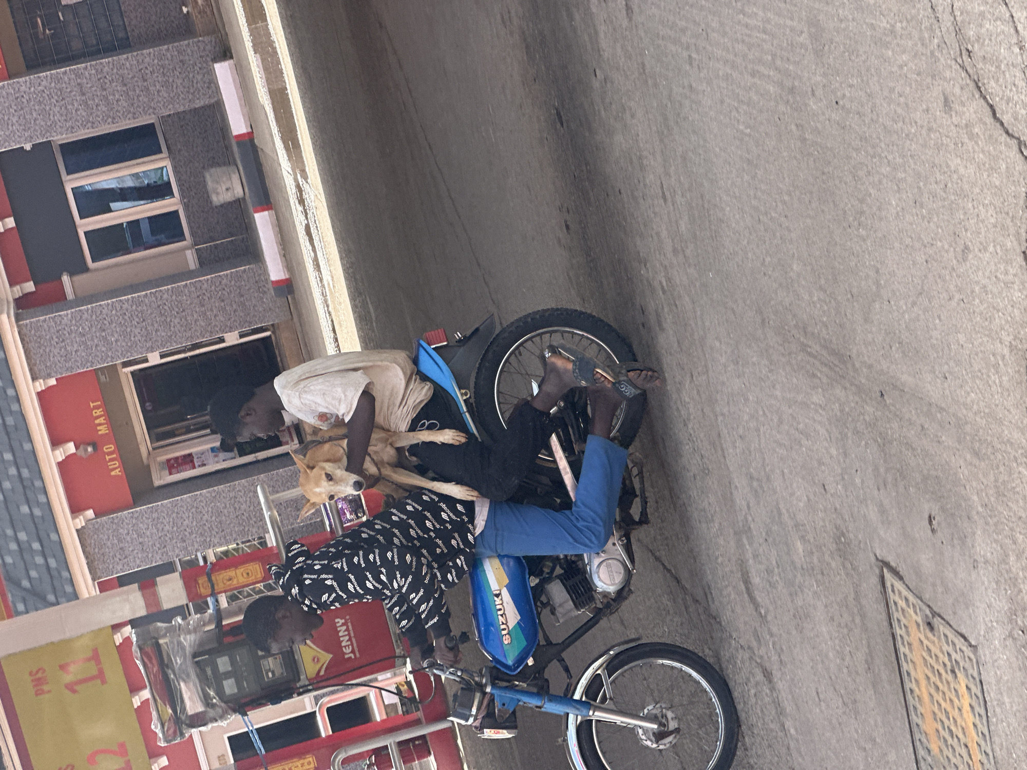 The image captures a street scene in Gura Top, Nigeria, with a focus on a man and his dog on a Suzuki motorcycle. The man in the foreground, wearing a black and white patterned shirt and blue pants, is seated on the motorcycle. He has a light brown dog resting on his lap. Behind him, another person in a white t-shirt is also on the motorcycle, with their arm around the dog. The motorcycle is parked on a paved road with visible cracks.
In the background, a building with red and gray accents and multiple windows is visible. A sign with "AUTO MART" written in red text on a white background is also prominent. Another sign reads "JENNY" in red letters. Yellow signage with "PMS" and numbers "11" and "12" is also present. The lighting suggests it is daytime, with no specific weather conditions discernible. The overall impression is a casual moment of two individuals and a dog sharing a motorcycle.