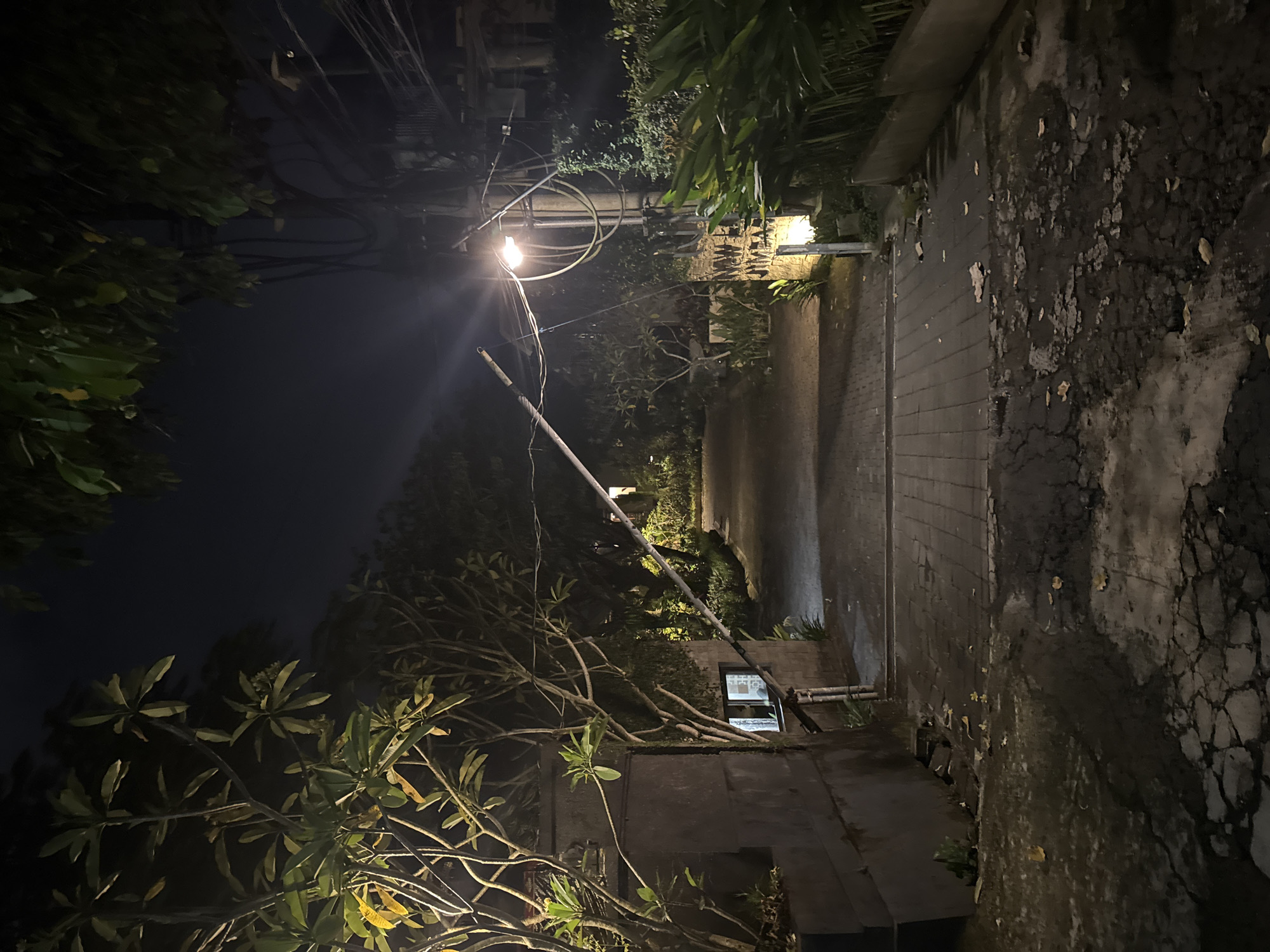 The image depicts an outdoor pathway or alleyway at night, illuminated primarily by a bright streetlamp. The photograph is oriented vertically but shows a scene that would normally be horizontal.
In the corrected horizontal view, a prominent streetlamp stands on the left, emitting a strong, warm light that creates a visible lens flare. Above the streetlamp and against the dark night sky, a dense network of overhead utility wires is visible. Lush green, tropical foliage from trees and bushes frames the left and right sides of the pathway, with some branches extending into the foreground, partially obscuring the view.
A paved pathway, possibly made of bricks or cobblestones, recedes into the distance on the right side of the image. To its immediate right, the ground appears rough and textured, possibly asphalt or dirt with peeling surfaces. Walls of buildings or structures line both sides of the path. On the right, a weathered wall with peeling plaster or paint is visible. Further down the path on the right, a structure with a partially visible window can be seen; inside this window, a white sign with dark, unreadable text is present. A white pipe runs horizontally along a lower section of the wall on the right. A long, thin pole extends diagonally from the vicinity of the streetlamp towards the right side of the frame, possibly a support structure or another utility pole.
The scene is static, with no discernible activity or people. The nighttime setting is emphasized by the dark sky and the strong contrast between the artificially lit areas and the deep shadows. The dense vegetation and utility infrastructure suggest a semi-urban or residential area, consistent with the Kuta Selatan, Indonesia context.