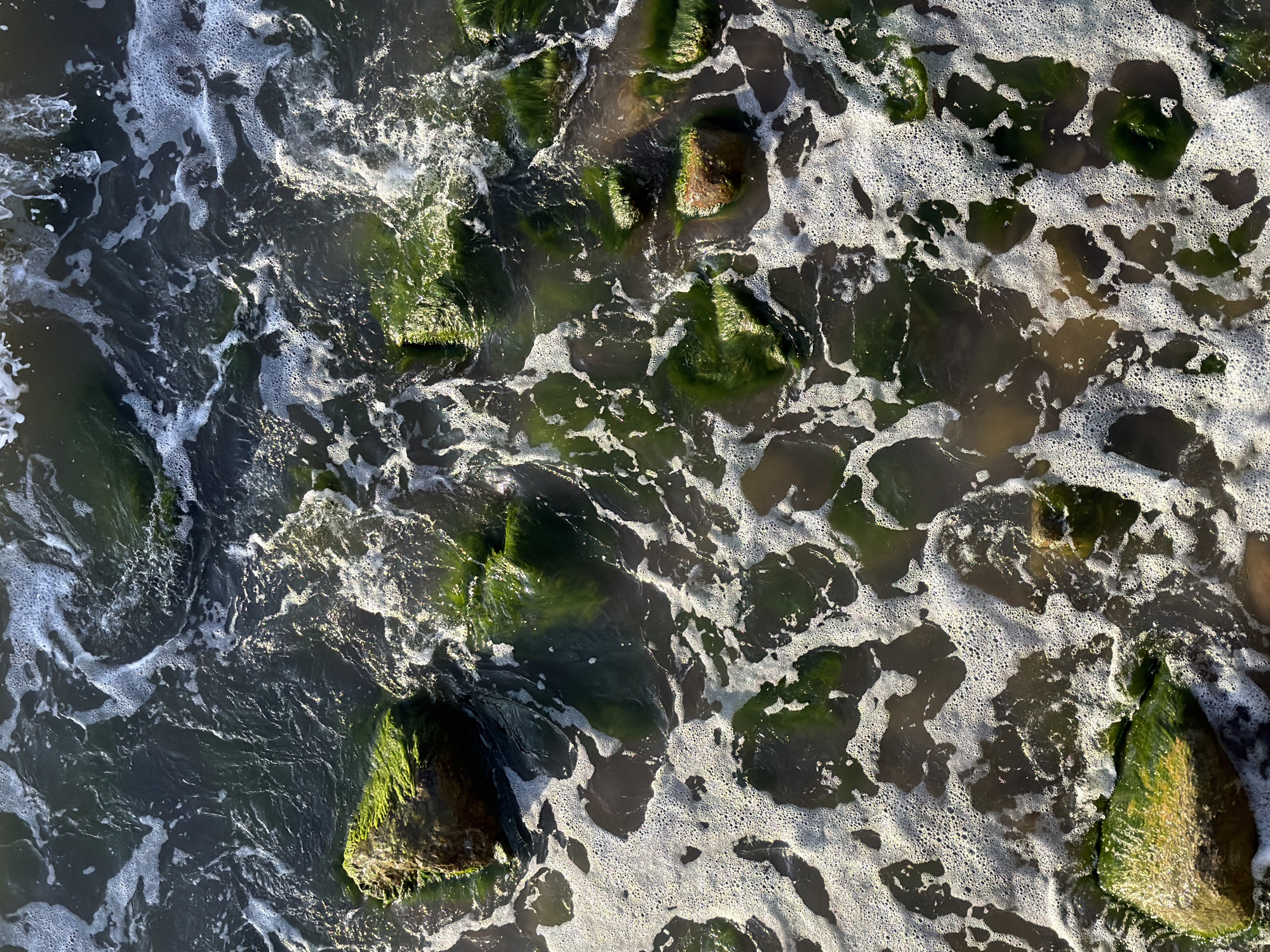 The image depicts a close-up, top-down view of a body of water, likely the Baltic Sea, near Zelenogradsk, Russia. The water is dark and murky, with visible currents and foam creating intricate patterns on the surface. Several large, irregularly shaped rocks are partially submerged, many of them covered in vibrant green algae. The rocks are scattered throughout the frame, with some appearing closer to the viewer and others further back. The light suggests it is daytime, casting shadows and highlighting the textures of the water and the algae-covered stones. There are no people or man-made structures visible in this specific frame. The environment is natural and aquatic, characterized by the interplay of water, rocks, and marine growth.