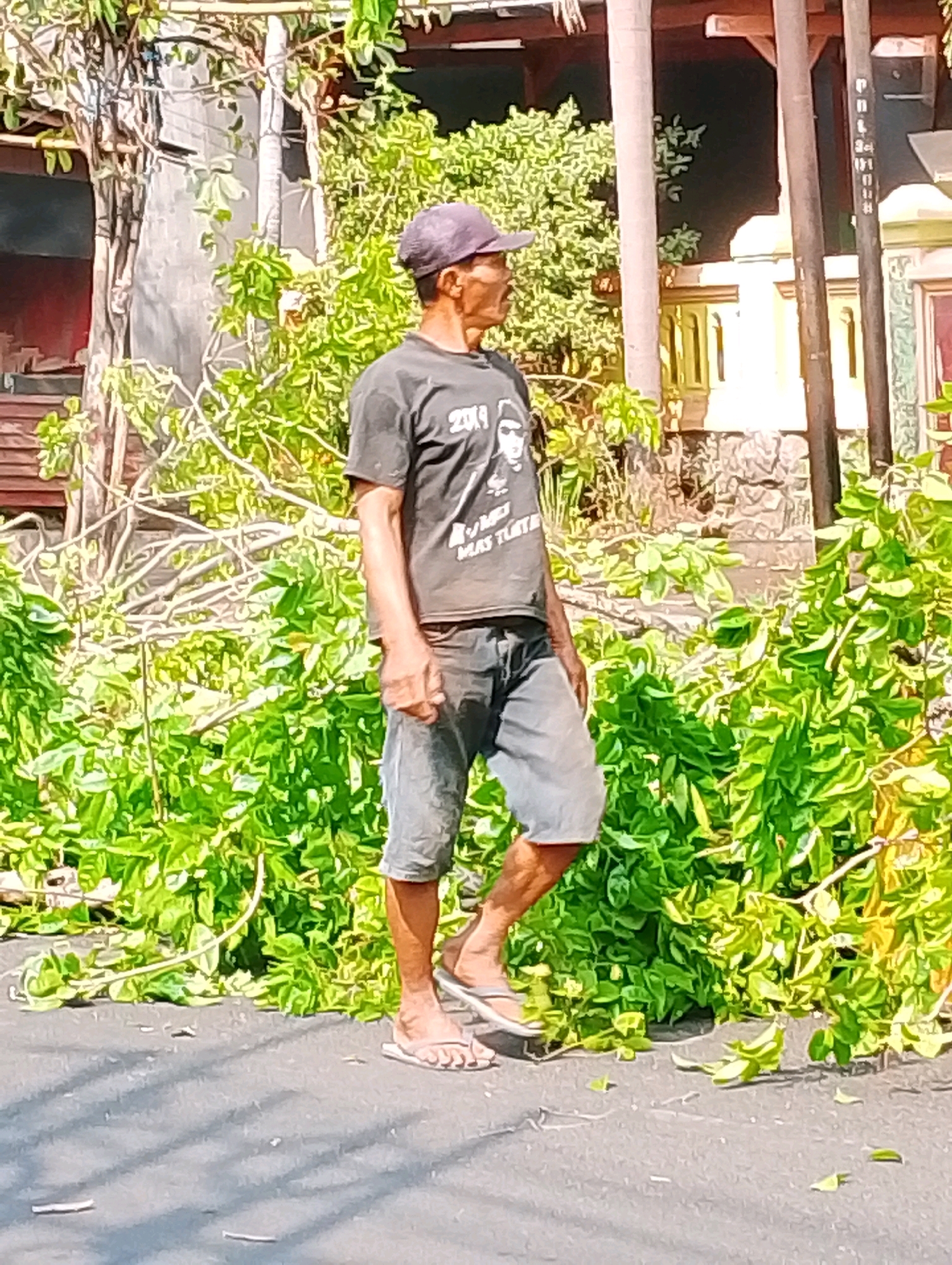 A man wearing a dark t-shirt with a graphic of a face and the text "2014 MAY TUAL" and grey shorts stands facing right, looking off-camera to his right. He is wearing a dark baseball cap and flip-flops. The man is standing on an asphalt surface next to a dense thicket of vibrant green foliage and fallen branches. Behind the foliage, a building with wooden beams and pillars is visible. The scene appears to be outdoors in Probolinggo, Indonesia.