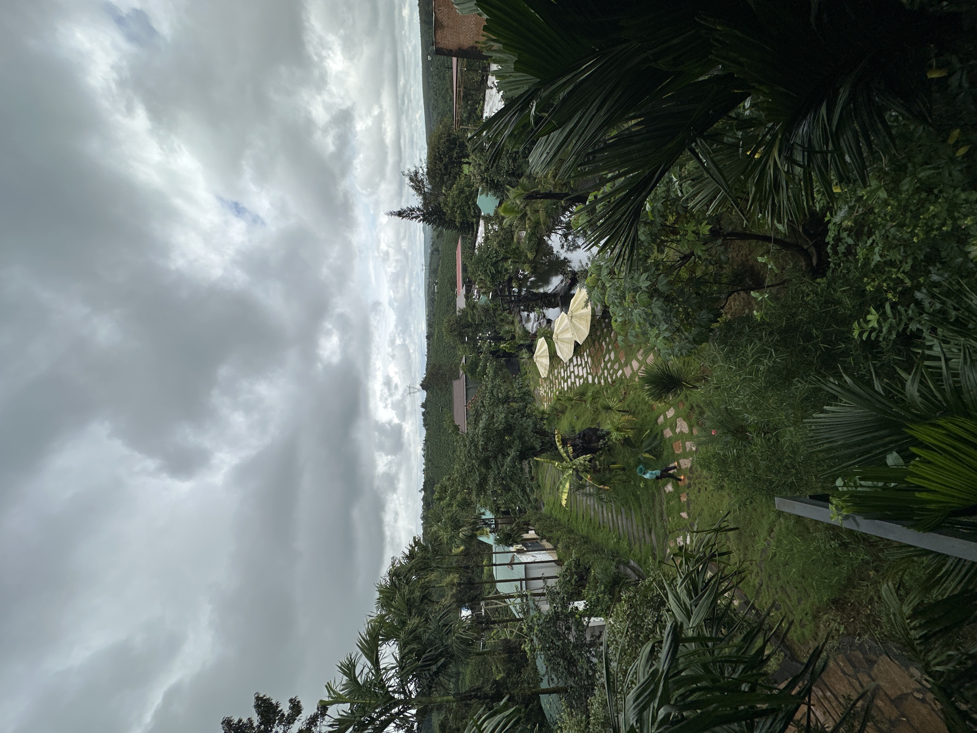The image depicts a lush, tropical resort or garden area, likely in or around Chư Sê, Vietnam, given the presence of dense vegetation, palm trees, and architectural styles that suggest Southeast Asia. The scene is set under a heavy, overcast sky with dramatic, grey clouds, indicating a potentially rainy or stormy day.
In the foreground, several large palm fronds obscure parts of the view, creating a sense of depth and a framed perspective. Moving into the mid-ground, a pathway made of flagstones winds through well-maintained green grass. On this path, a person wearing a turquoise shirt and a green hat is walking away from the camera. They appear to be gardening or performing some maintenance task, as they are holding a tool.
Adjacent to the path is a tranquil body of water, possibly a pond or a small lake, with reflections of the surrounding trees and the sky. Three light-colored umbrellas are arranged near the water's edge, suggesting a seating or relaxation area. Several buildings with light-colored walls and green roofs are visible scattered amongst the dense foliage.
The background reveals rolling hills covered in more trees and vegetation, characteristic of a rural or semi-rural landscape. A tall, slender coniferous tree stands out against the backdrop of deciduous trees. In the far distance, some man-made structures and what appears to be a transmission tower can be seen, hinting at proximity to civilization. The overall atmosphere is one of natural beauty and serene, albeit potentially damp, ambiance.