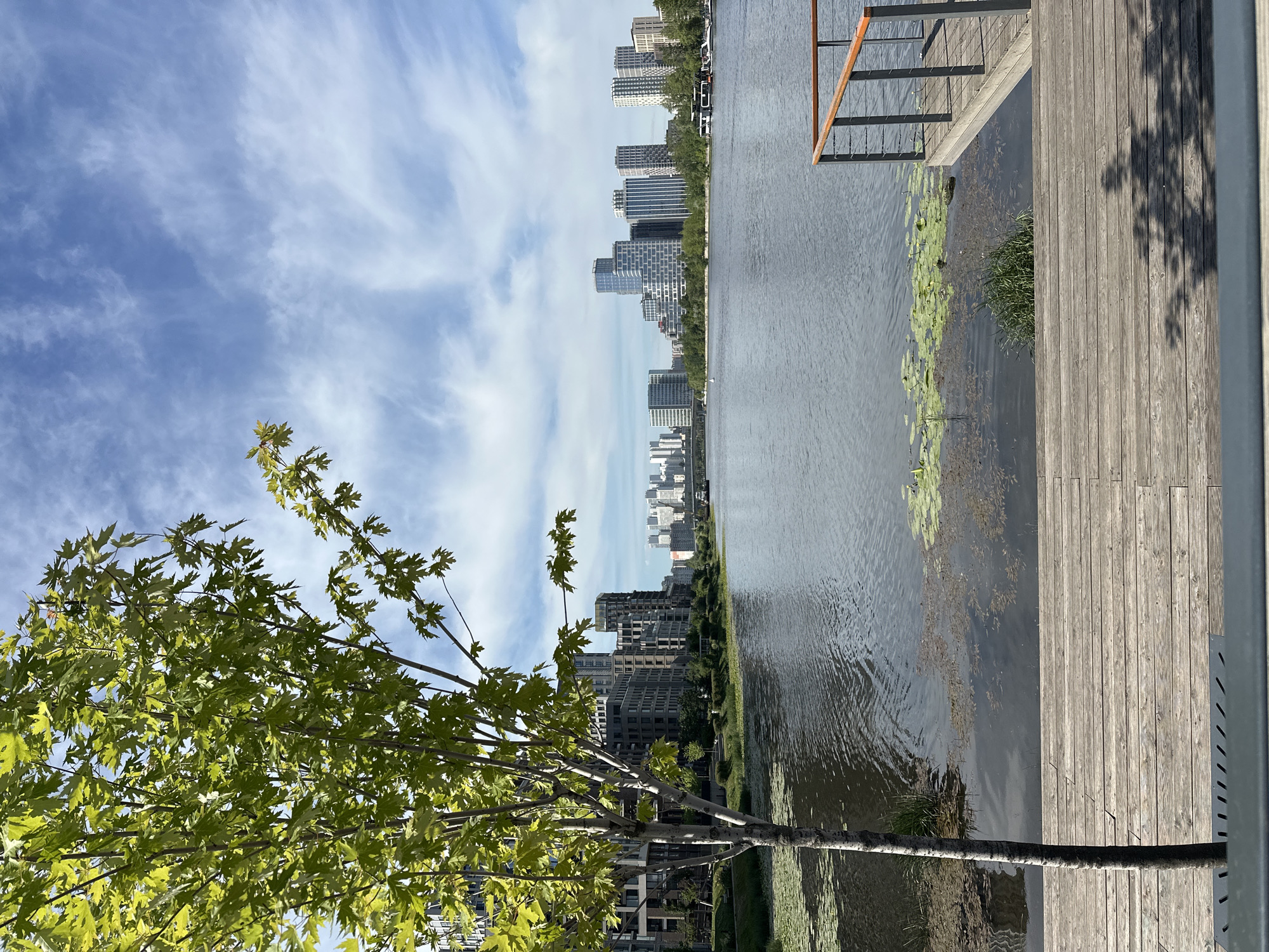 This image depicts a waterfront scene in Moscow, Russia, likely in the Moscow City district, known for its modern skyscrapers. In the foreground, a wooden deck extends towards a calm body of water. A young tree with bright green leaves stands to the left, its trunk a pale gray. The water's surface is dotted with green lily pads and some darker vegetation. On the right side of the image, a wooden pier with a railing juts out into the water.
Across the water, a modern cityscape rises, characterized by numerous high-rise buildings of varying architectural styles and heights. Some buildings feature reflective glass facades, while others are clad in lighter-colored materials. A bridge can be seen in the distance, spanning the water. The sky above is a clear blue, interspersed with wispy white clouds, suggesting a pleasant, possibly sunny day. The overall impression is one of urban development integrated with natural elements, creating a serene and picturesque waterfront environment. There are no people visible in the frame.