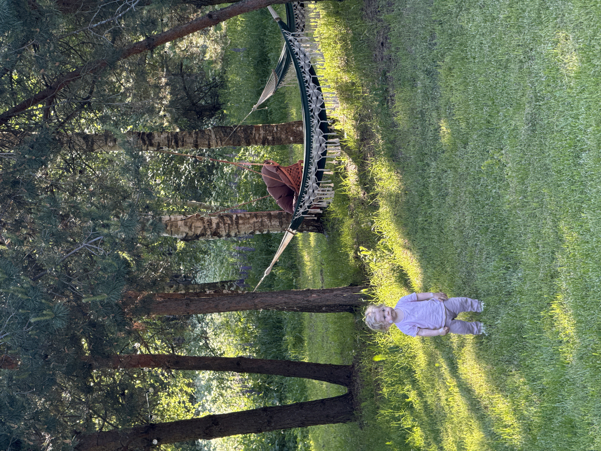 The image depicts a sunlit outdoor scene in Копнино, Russia, featuring a young child and a person relaxing in a hammock. The photograph is oriented vertically.
In the foreground, a young child with blonde, curly hair, wearing a light pink t-shirt and light-colored pants, stands on lush green grass. The child is looking towards the viewer with a neutral expression. Long, distinct shadows stretch across the grass, indicating golden hour lighting, likely late afternoon or early morning.
In the midground, a large green hammock with white woven patterns and fringe is suspended between two trees. A person with dark hair or a head covering, dressed in a reddish-brown garment, is partially visible, reclining in the hammock.
The background and sides of the scene are filled with numerous trees, including tall pines with dark green needles and birches with distinctive white bark, suggesting a wooded or semi-wooded setting. The sunlight filters through the tree canopy, creating bright patches and dappled light on the foliage and ground. The overall atmosphere is peaceful and leisurely.
There is no visible text in the image.