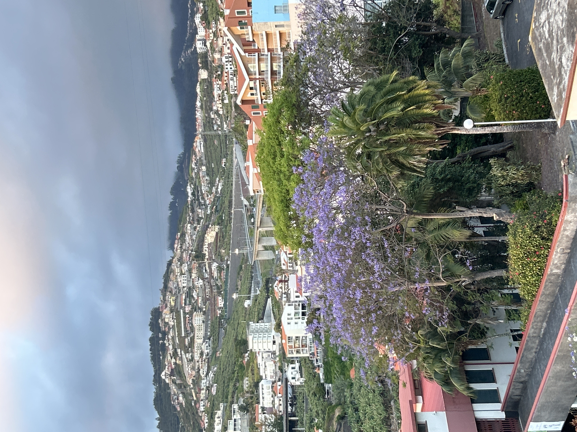 The image shows a cityscape in Câmara de Lobos, Portugal. The view is from an elevated position, capturing a dense urban sprawl on a hillside. The sky is overcast and dark, suggesting an approaching storm. There are numerous residential buildings, mostly white with red-tiled roofs, clinging to the landscape. A prominent road or highway cuts through the settlement, supported by pillars. In the foreground, a flowering jacaranda tree is in full bloom, adding a splash of purple. A palm tree and other greenery partially obscures the view of buildings closer to the viewer. A lamp post is seen near the palm tree. A section of a rooftop is visible at the bottom right corner. The overall scene suggests a vibrant but densely populated area nestled into the steep terrain of the island.