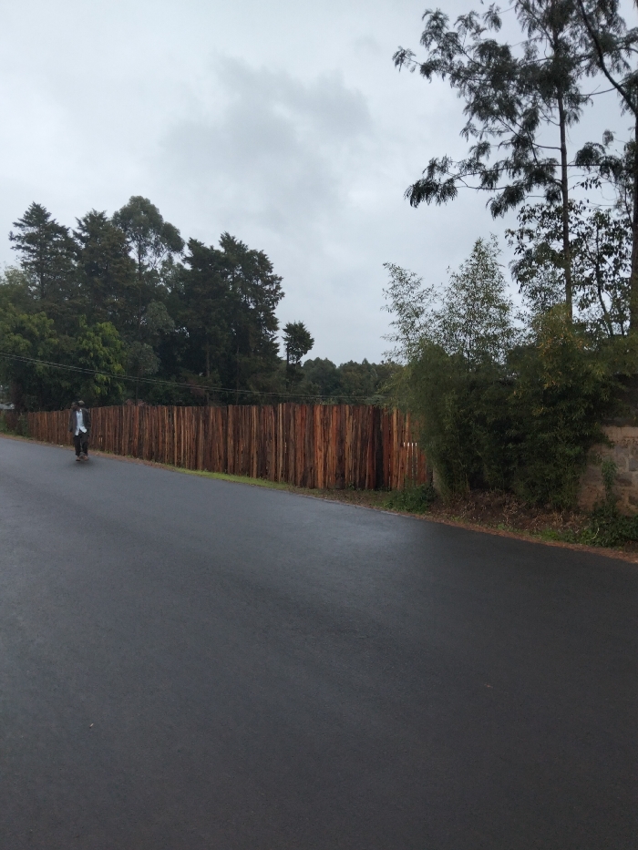 The image displays a roadside scene in Nyansiongo ward, Kenya, under an overcast, grey sky. A dark asphalt road, visibly wet, extends from the foreground into the distance. On the left side of the road, approximately 40 meters from the viewer, a single individual is operating or stationary on a dark-colored two-wheeled vehicle, consistent with a motorcycle. The person wears a light-colored shirt and dark trousers and is oriented away from the camera. To the right of the road, a long fence constructed from closely spaced, vertically oriented raw timber poles of various reddish-brown and tan hues runs parallel to the road. Beyond this timber fence, dense green vegetation and mature trees are visible. In the extreme right foreground, a section of a dry stone wall, partially overgrown with green foliage, is present. The distant background features a thick line of tall, predominantly evergreen trees beneath the uniformly grey sky.