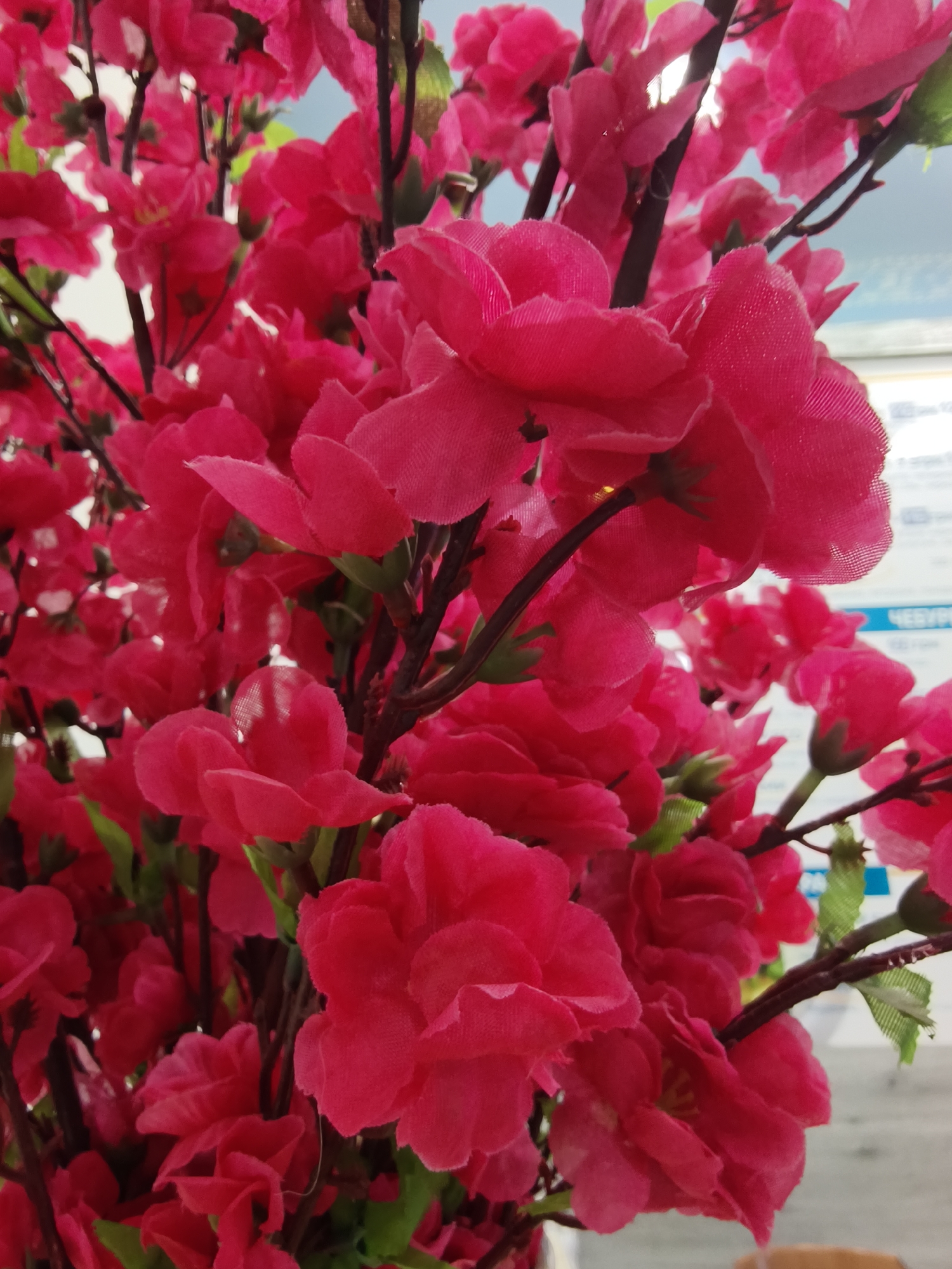 The image shows a close-up of artificial bright pink flowers with dark brown stems. The flowers are densely packed together. There are a few green leaves visible. The background is blurred, but a section of a sign is visible, with text that includes "ЧЕЕРГИ". The location is the city of Kryvyi Rih, Ukraine.