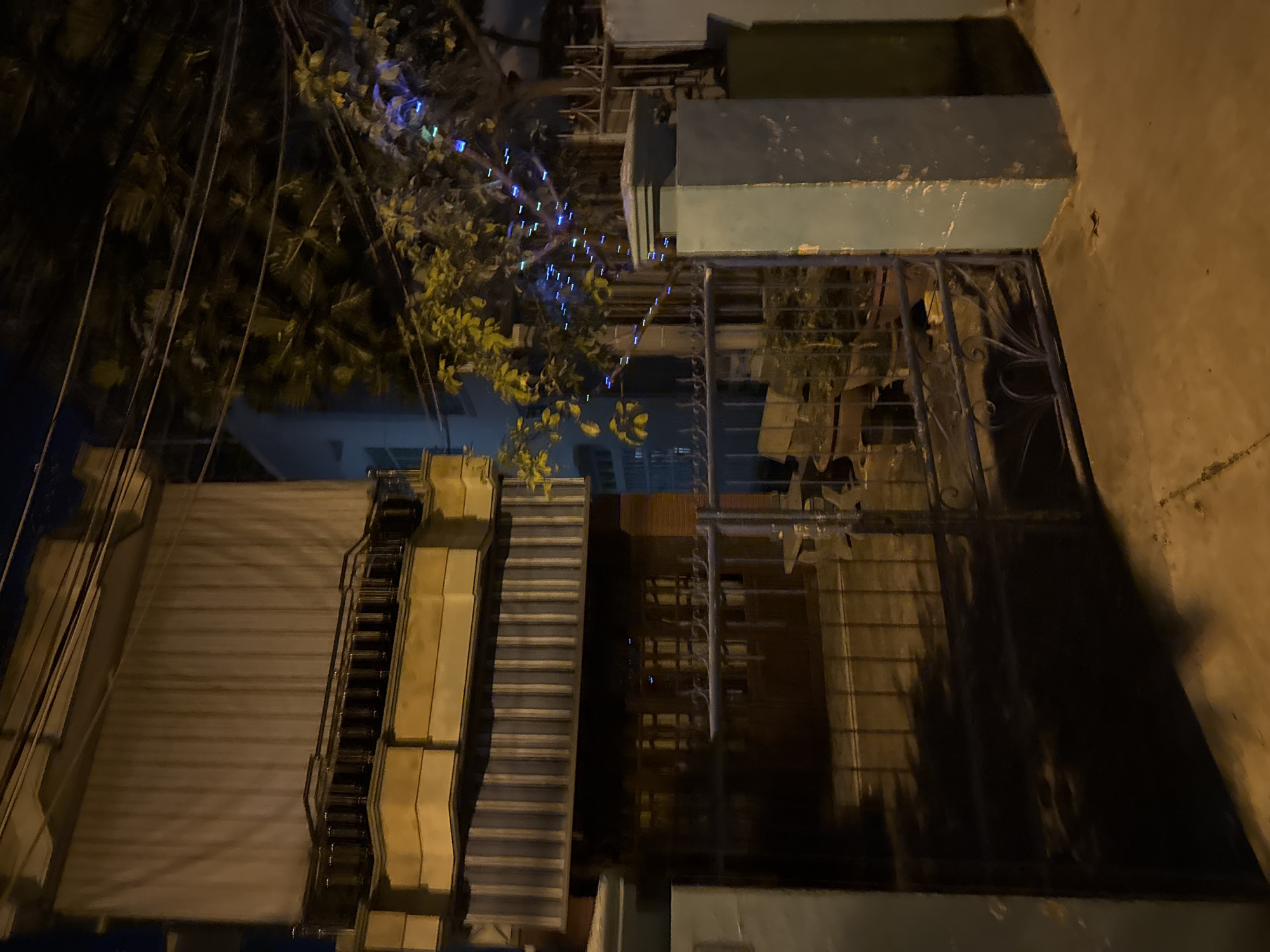 The image depicts a nighttime scene in Bac Nha Trang Ward, Vietnam, centered on a multi-story building under artificial illumination. The building's upper facade features a large, light-colored vertical awning or shutter system, beneath which is a yellow-toned balcony with a dark metal railing. Below the balcony, a section with dark vertical slatting, possibly another set of shutters or an awning, extends across the width of the building. The ground floor exhibits dark-framed windows or doors, partially obscured by a dark metal gate that spans the foreground.
Overhead, multiple power lines crisscross against a dark night sky. To the right of the building, a tree with green foliage is visible, adorned with numerous small blue string lights. Additional vegetation, including potted plants, is discernible behind the metal gate on the ground level. A small, dark lizard is positioned on the concrete pavement near the base of the gate on the right side. The ground is illuminated by an unseen light source, casting soft shadows, while the overall environment is dark due to the night, with the building and immediate foreground highlighted by artificial light. No individuals or active subjects are present in the frame.