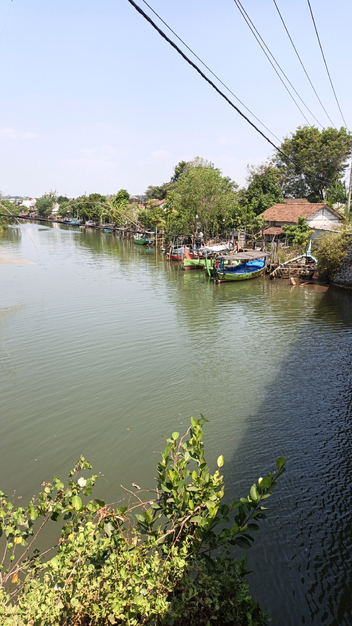 The image depicts a tranquil scene along a canal in Jepara, Indonesia. The water is a muted green, reflecting the clear blue sky and the lush vegetation that lines the banks. Several small fishing boats, painted in various colors, are moored along the right bank, some with their canopies deployed. Behind the boats, houses with tiled roofs peek through a dense foliage of trees. A path or walkway is visible along the edge of the canal, supported by wooden posts. In the foreground, a cluster of vibrant green bushes adds a touch of natural beauty to the composition. The presence of power lines overhead suggests the proximity of a settlement or infrastructure. The overall atmosphere is one of peaceful coexistence between human activity and the natural environment.