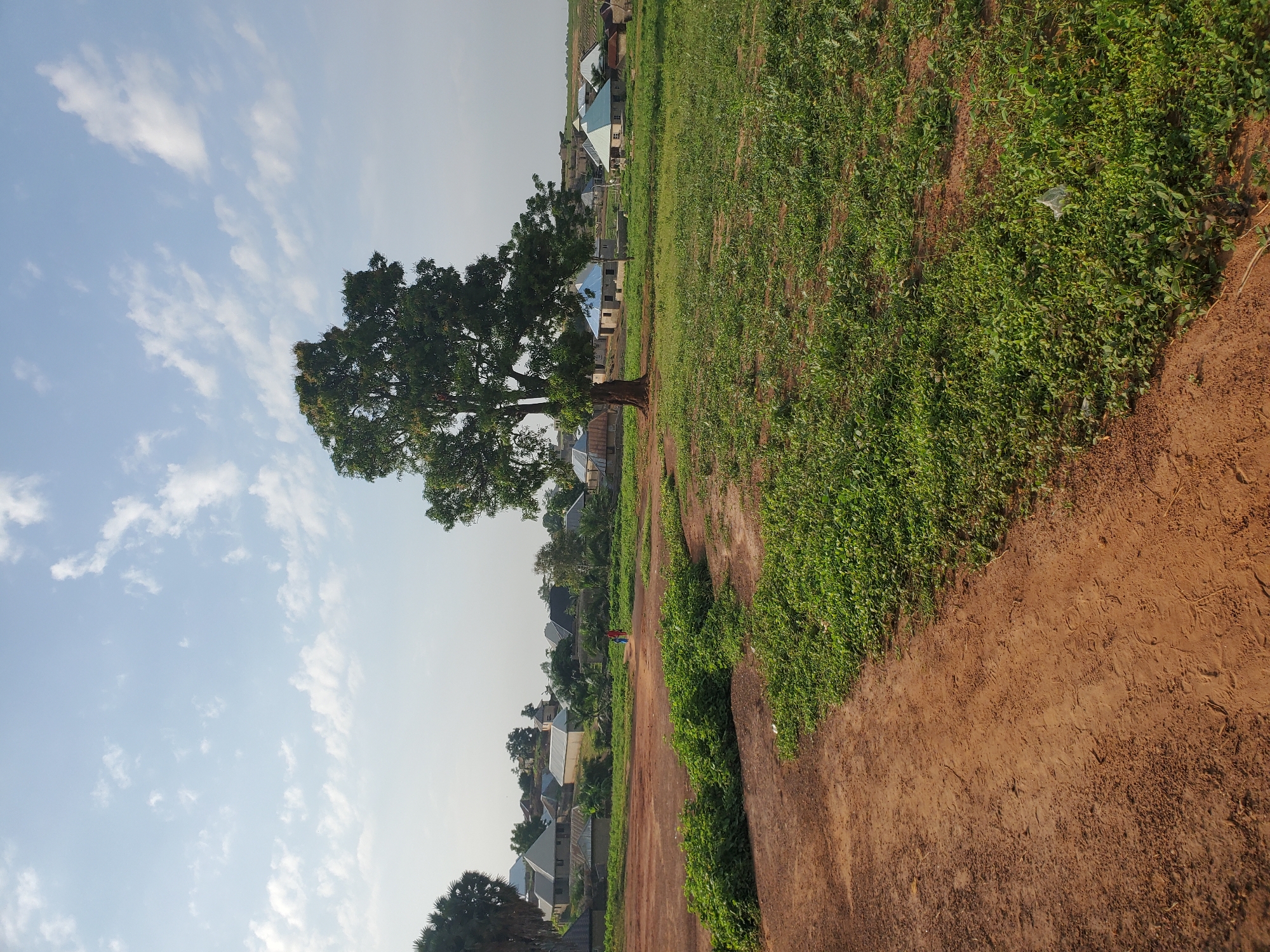 The image depicts a village scene with a large tree in the foreground, a dirt path, and a field of green vegetation. Several houses with corrugated metal roofs are visible in the background, nestled among trees. The sky is blue with scattered white clouds. Two individuals, one appearing to be an adult and the other a child, are walking in the distance towards the village. The environment suggests a rural setting, possibly in a region with warm weather given the lush greenery. The specific location in the city of Winters, United States of America, is not identifiable from the visual elements present in the image.