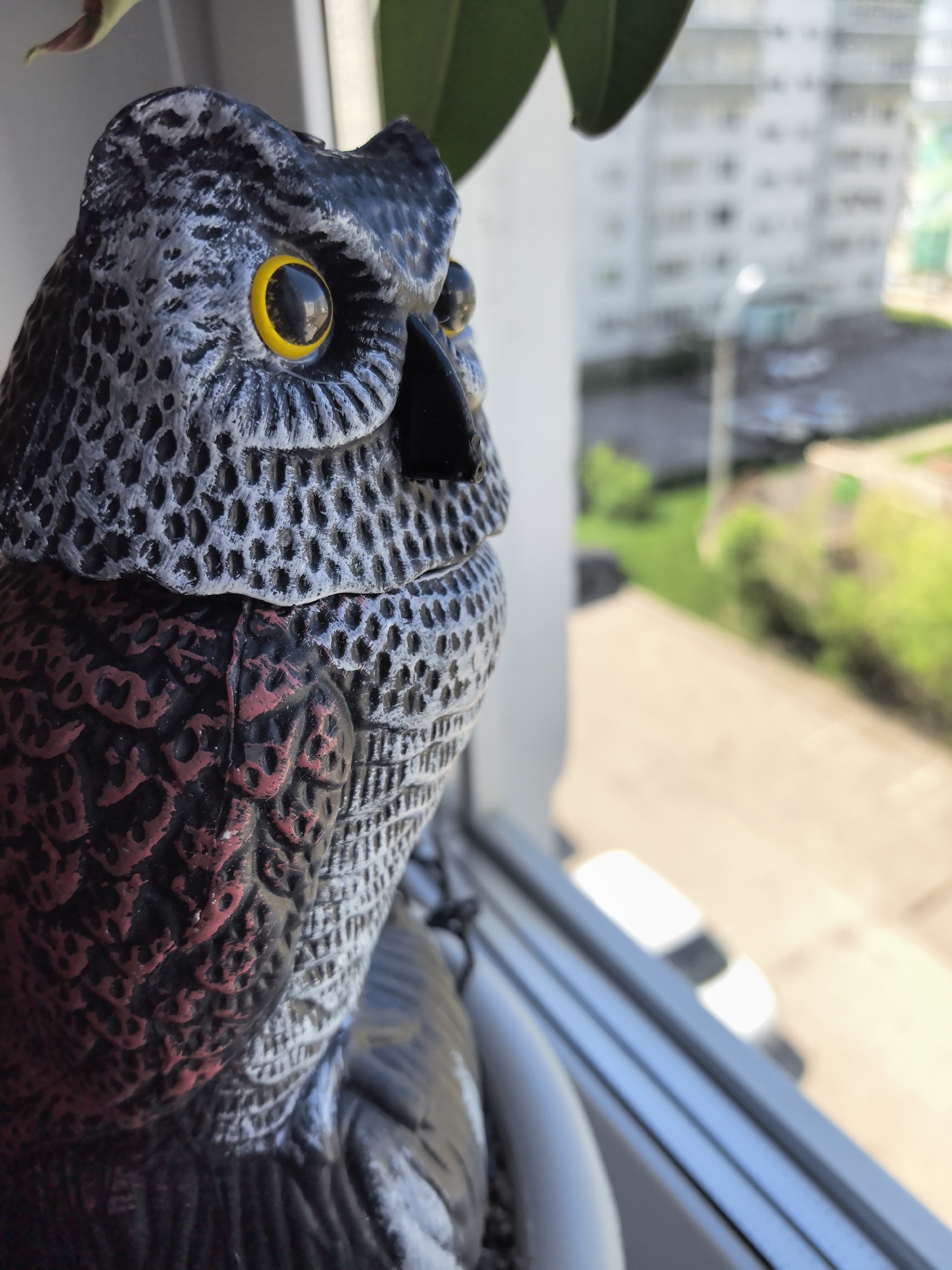 A plastic owl statue with yellow eyes, a black beak, a gray and white head, and a red and black chest sits on a window sill. Outside the window, the blurred background shows a cityscape, including a building, some greenery, and a white van. The image appears to be taken from inside a building. The location is Фролы, Russia.