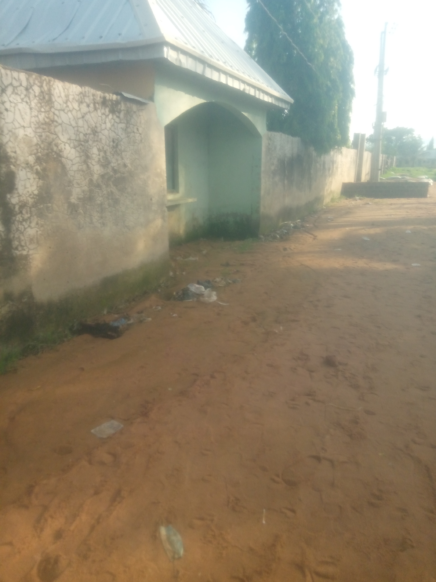 The image shows a street scene in Jauro Yinu, Nigeria. A building with a light-colored, corrugated metal roof and a textured, off-white wall is visible on the left. The building has an arched entryway painted in a light green color. A concrete wall, extending from the building and along the right side of the street, is also visible. The ground is covered in reddish-brown dirt, with some patches of dry grass growing along the base of the wall. Scattered debris, including plastic bags and other refuse, is present on the ground and along the edge of the wall. In the background, a tall tree with dark green foliage stands behind the wall, and a utility pole with wires is also visible. The sky is bright, suggesting daylight, and there is a hazy quality to the image, possibly due to dust or atmospheric conditions. The scene depicts an outdoor, somewhat unkempt environment in a Nigerian settlement.