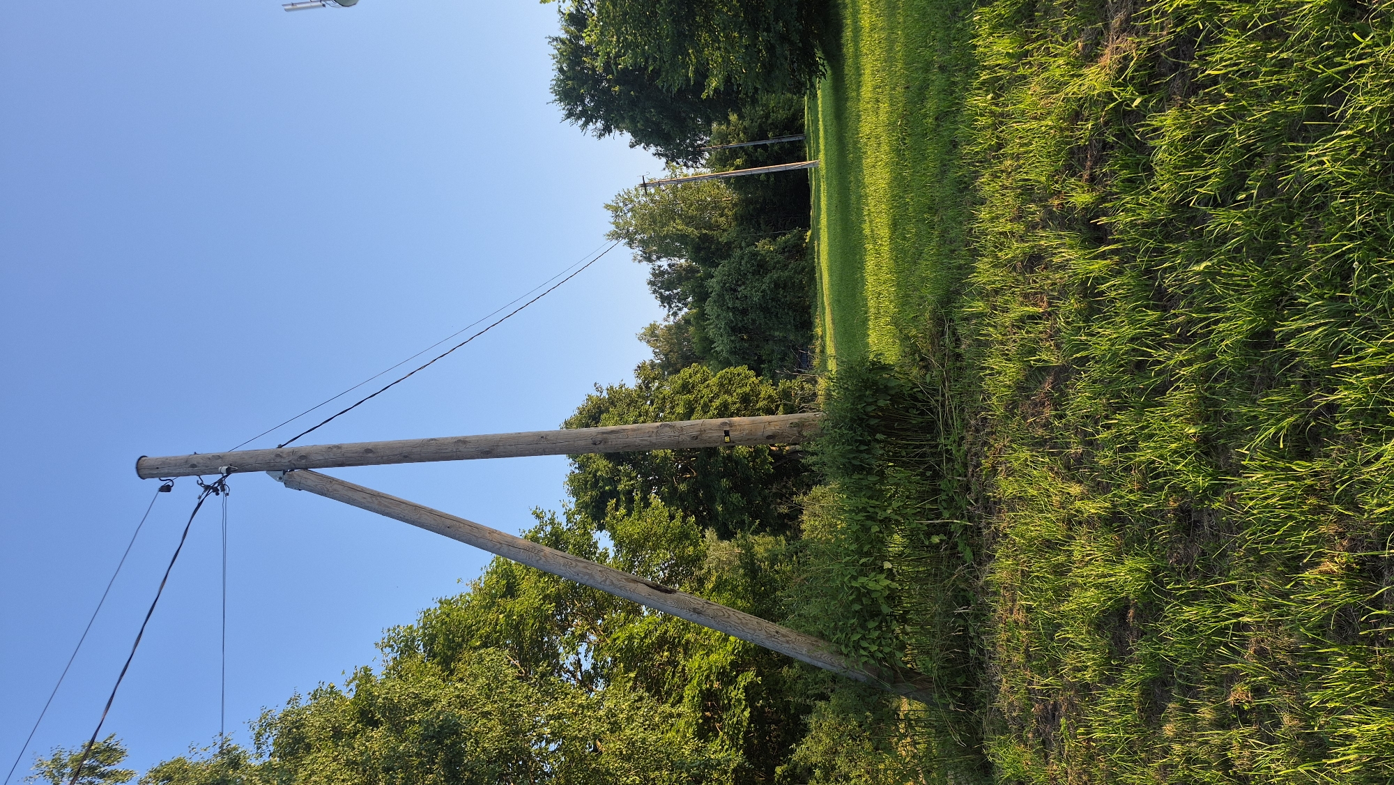 In Krauja, Latvia, on a clear day with a blue sky, two wooden utility poles stand in a grassy field. The pole in the foreground is a large, rough-hewn wooden structure with two angled support beams forming a triangle at its base. Power lines are strung between the poles and appear to be suspended in mid-air. A second, thinner utility pole is visible in the background. The field is covered in lush green grass, and trees with dense green foliage surround the area. The sun is shining, casting shadows on the ground.