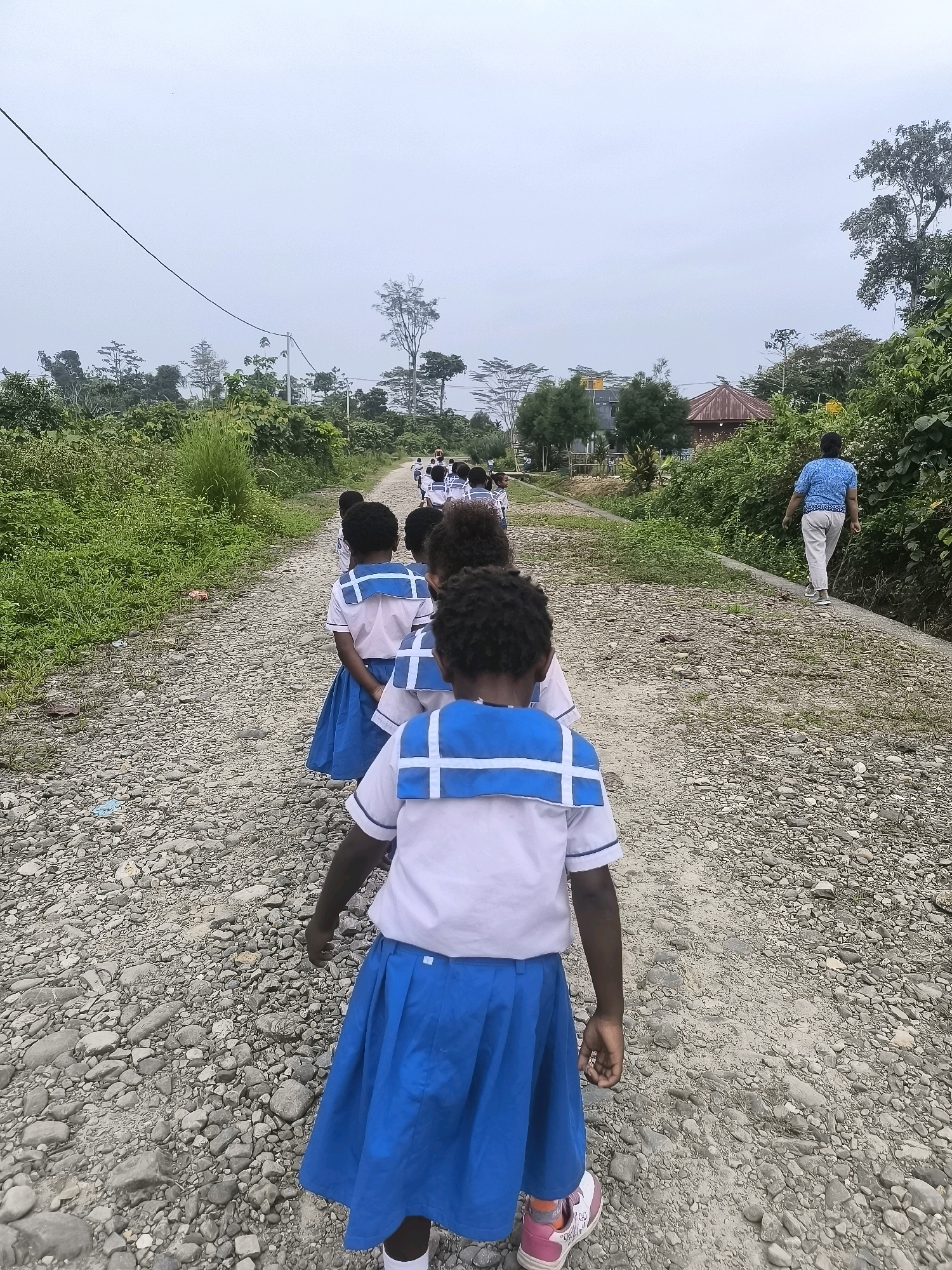 In an outdoor, rural setting, likely on the outskirts of Timika, Indonesia, a group of children in matching school uniforms are walking in a line down a gravel path. The children, predominantly appearing to be of indigenous Papuan descent, are wearing light-colored shirts with blue trim and collars, paired with bright blue skirts or shorts. Their dark, curly hair is visible. The path is flanked by lush green vegetation, including tall grass and trees, suggesting a tropical environment. In the distance, several structures are visible, including what appears to be a small wooden building with a red roof and some other houses. A single adult, wearing a blue patterned shirt and light-colored pants, is walking ahead of the children, on the right side of the path, facing away from the camera. The sky is overcast, casting a diffused light over the scene. The presence of a power line stretching across the upper portion of the image indicates some level of infrastructure in the area. The overall impression is one of a school procession on an unpaved road in a developing rural area.