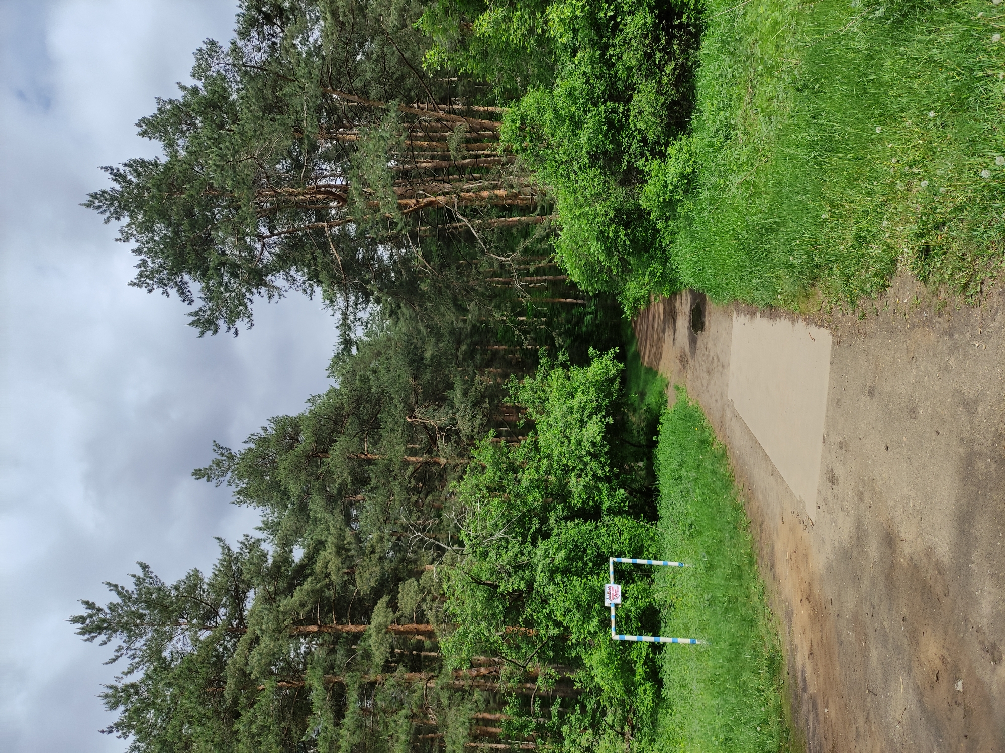 The image shows a dirt path with a patch of concrete, likely a sidewalk or paved area, running through a forest. On the left, tall pine trees stand closely together, while on the right, a mix of shrubs and grassy vegetation lines the path. In the foreground, a blue and white striped barrier with a sign is visible. The sky is overcast. The location is specified as Unknown, Unknown.