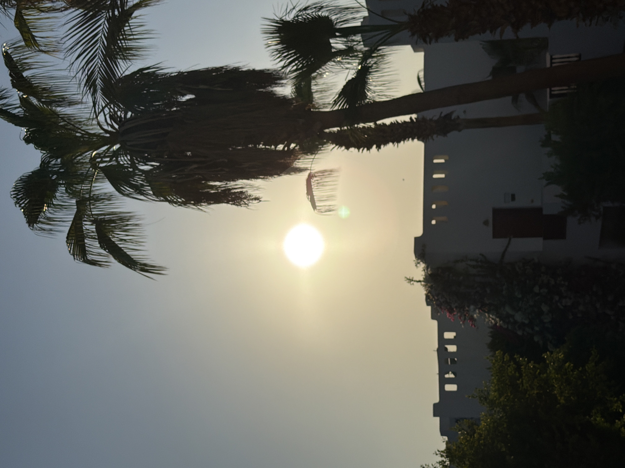 The image captures a serene sunset scene in Sharm El Sheikh, Egypt. In the foreground, silhouetted palm trees with their fronds gently swaying in the breeze dominate the frame. The setting sun, a bright orb with visible rays, casts a warm glow across the sky, tingeing it with shades of yellow and pale blue. Partially visible in the midground is a white building with a distinctive crenelated rooftop, featuring several rectangular openings that create a unique architectural silhouette. Some sections of the building are adorned with vibrant pink and white bougainvillea, adding a splash of color against the muted tones of the structure. The overall impression is one of a tranquil evening in a tropical or subtropical resort town.