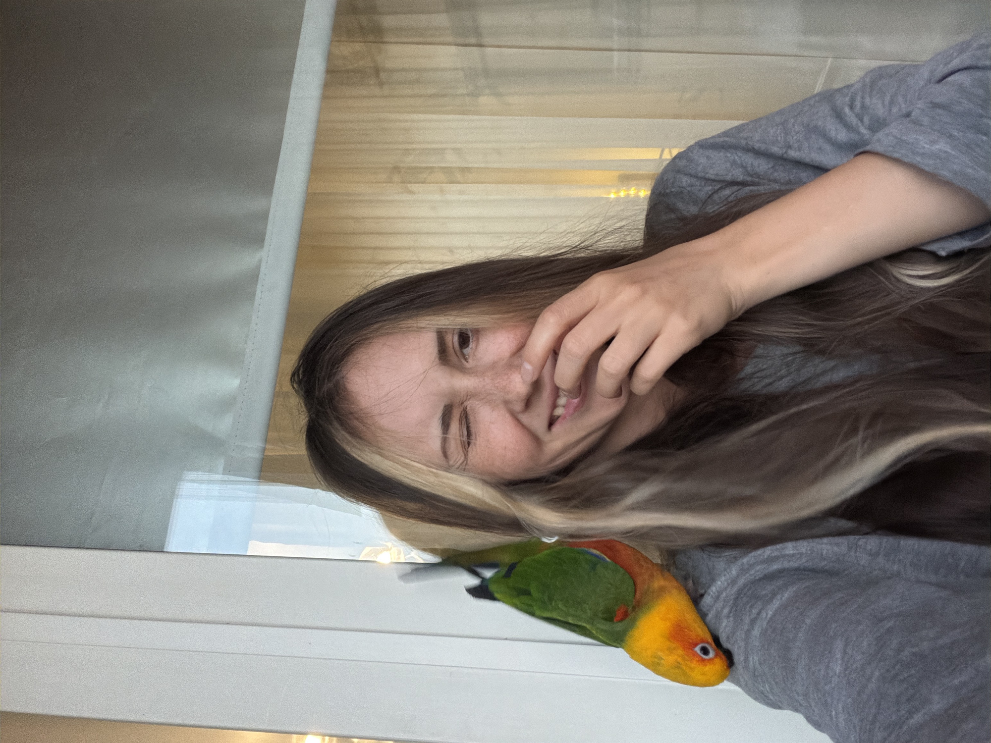 A young adult female with long, brown hair with light blonde streaks is depicted in a medium shot indoors, presumably in the city of Khimki, Russia. She is facing the viewer, winking with her right eye and smiling broadly, with her left hand partially covering her mouth. She is wearing a grey long-sleeved top. A vibrant green, orange, and yellow parrot is perched on her left shoulder, its head turned towards the viewer. The background consists of a white window frame or door frame on the left, and a partially drawn light-colored blind or curtain on the right, through which diffuse natural light appears to enter. A faint reflection of an outdoor scene with a light blue sky is visible in the upper left glass area.