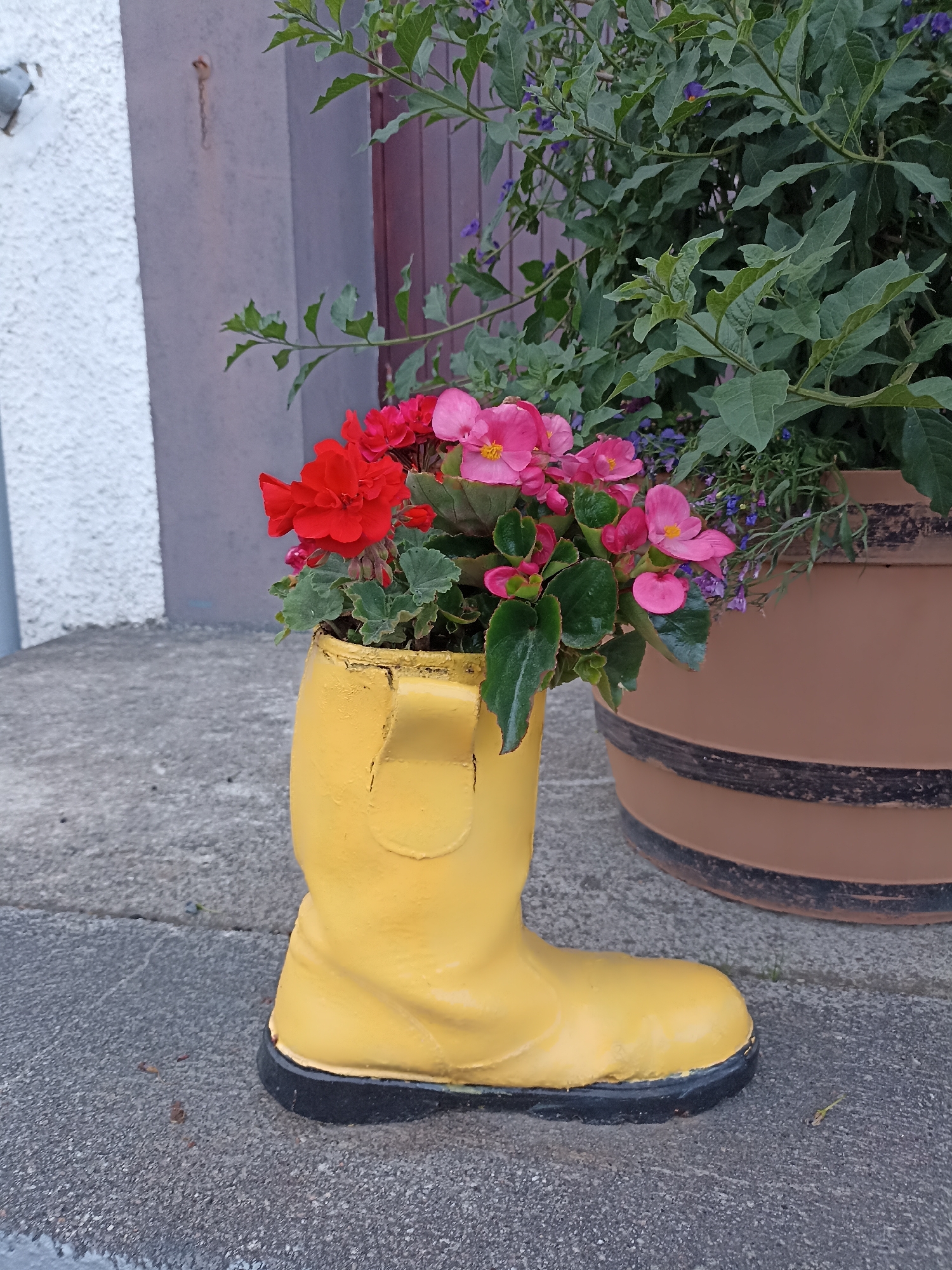A yellow rubber boot, acting as a planter, sits on a grey concrete surface. The boot is filled with a variety of colorful flowers, including bright red and pink begonias, and small purple flowers. Behind the boot, a large brown planter holds a dense green plant. The background shows a textured white wall to the left and a dark wooden door to the right. The scene appears to be located outdoors, possibly in a garden or entryway.