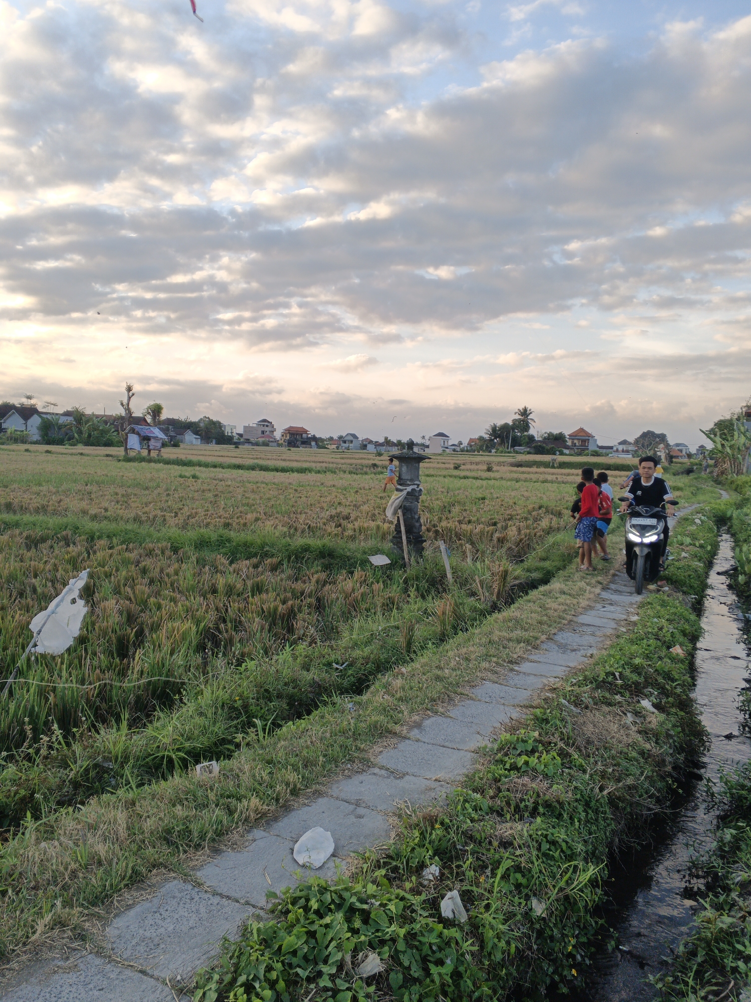 A motorcycle rider, a young man in a black t-shirt with white stripes on the sleeves, drives along a paved pathway bordering a rice paddy. He is followed closely by four young boys, one in a red shirt and blue shorts, and three in plain shirts. To the left of the pathway is a harvested rice field, and to the right is a narrow irrigation ditch. In the distance, several houses with red-tiled roofs are visible, suggesting a rural or suburban setting in Sukawati, Indonesia. The sky is overcast with clouds, and the overall lighting indicates it is either early morning or late afternoon. A white object, possibly a scarecrow or flag, is attached to a pole in the rice field.