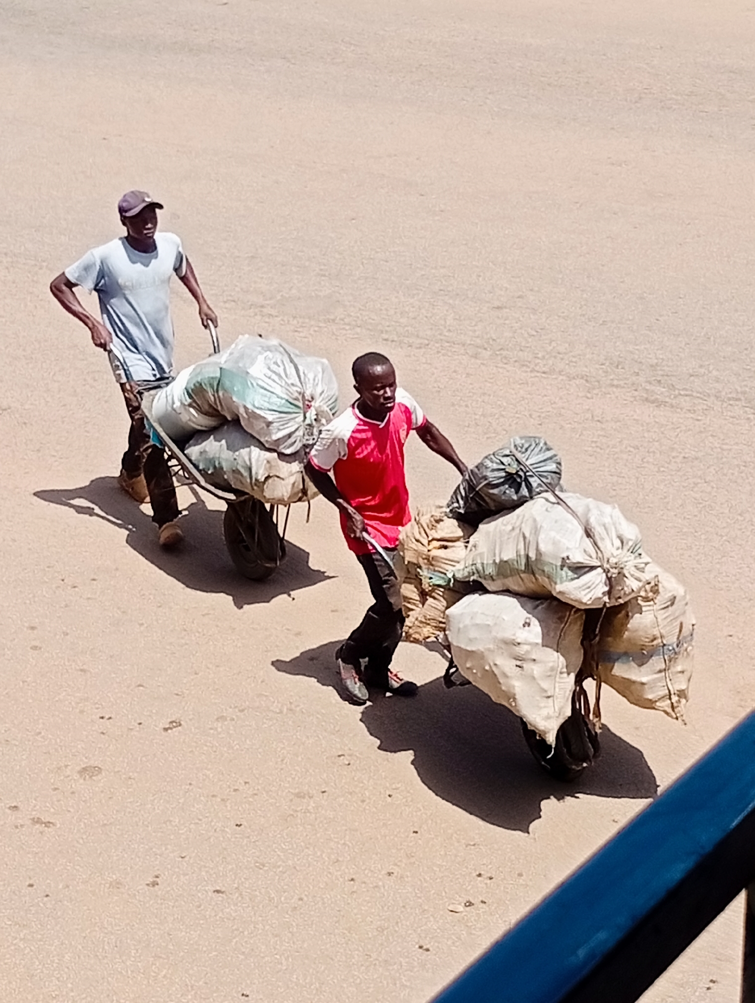 In Bukuru, Nigeria, two individuals are actively engaged in transporting a heavily laden wheelbarrow across a sun-drenched, sandy terrain. The scene suggests a warm, likely midday period, given the strong shadows cast by the subjects and the wheelbarrow. The ground appears to be unpaved, possibly a dirt road or pathway.
The first individual, positioned at the rear of the wheelbarrow, wears a light blue t-shirt and a purple baseball cap. They are pulling the wheelbarrow, their body angled to exert force. Their attire suggests casual, work-appropriate clothing for a hot climate.
The second individual, walking ahead and to the right of the wheelbarrow, is wearing a vibrant red t-shirt with white sleeves and dark pants. They appear to be guiding or assisting in the movement of the wheelbarrow. Their pace suggests they are walking alongside or slightly in front of the loaded cart.
The wheelbarrow itself is piled high with numerous large sacks, seemingly filled with goods. The sacks vary in color and material, with some appearing to be made of rough woven material, and others are lighter colored, possibly plastic or canvas. They are secured together, suggesting a deliberate effort to transport a significant quantity of items.
The overall impression is one of labor and movement, highlighting the effort involved in transporting goods in this environment. There is no visible text in the image.