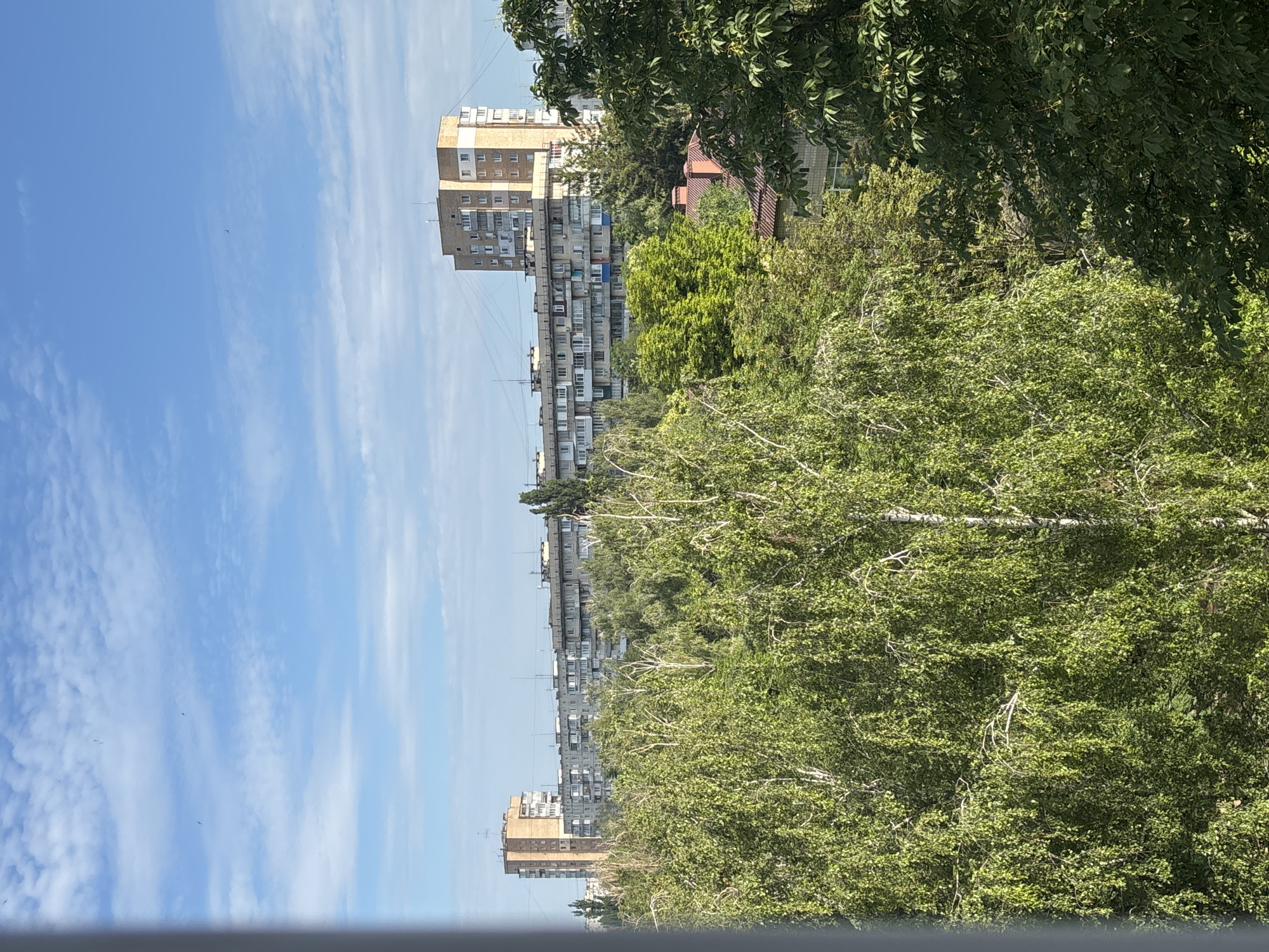 The image depicts a view of the city of Bila Tserkva, Ukraine, overlooking a dense canopy of green trees. In the background, several multi-story apartment buildings are visible. The sky is blue with scattered white clouds. The foreground is dominated by the lush foliage of deciduous trees, with some lighter-barked trees, possibly birch, interspersed. The apartment buildings in the mid-ground are typical of Soviet-era architecture, with long facades and multiple windows. One taller, more modern building with a beige facade stands out to the right. The overall impression is that of an urban environment integrated with significant green spaces. No people or specific actions are discernable.