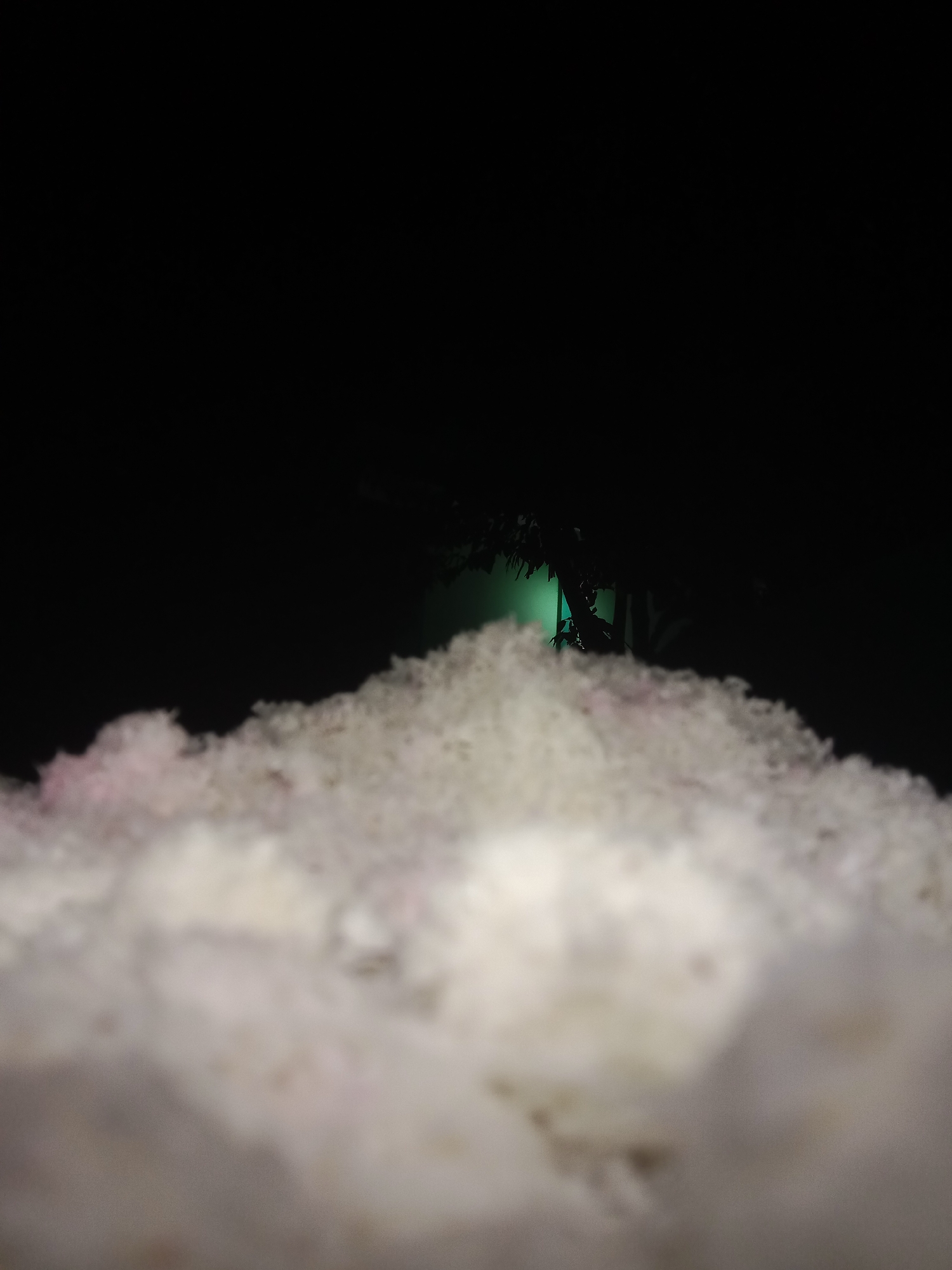 The image displays a close-up, low-angle view of a textured, fluffy, white substance, possibly snow or cotton, filling the foreground. Behind this substance, in the mid-ground and background, is a dark environment with a bright, green light emanating from an obscured source. Silhouetted against this light are the dark shapes of foliage and possibly human figures. The overall impression is that of a scene at night, possibly outdoors, with a stark contrast between the foreground and the illuminated background. There is no discernible location in the city of Lemahkembar, Indonesia specified or implied by the image content.