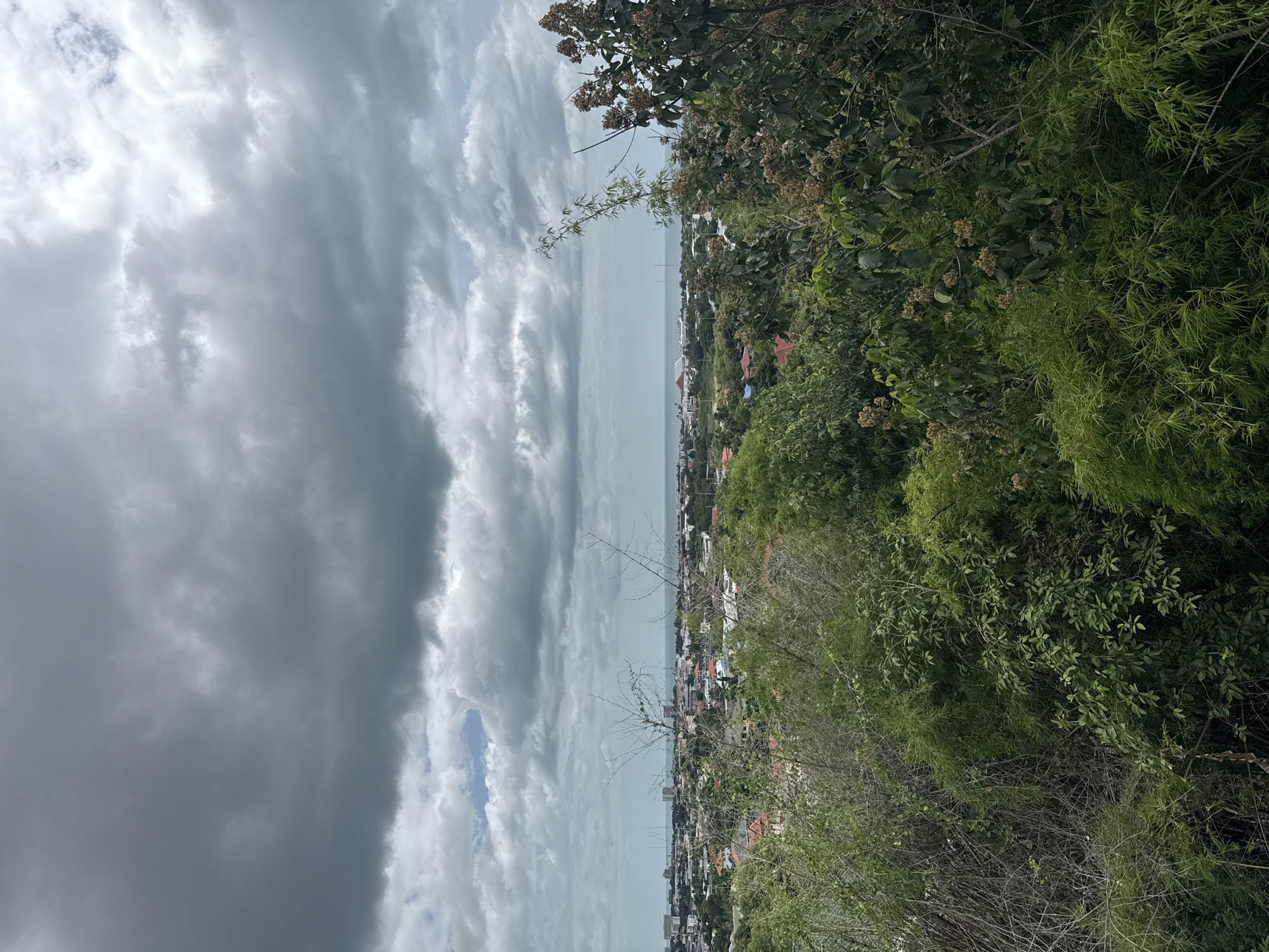 The image depicts a panoramic view of Hua Hin City Municipality, Thailand, from an elevated vantage point. In the foreground, dense, green foliage and bare branches obscure the lower portion of the scene, suggesting a hillside or elevated park area. Beyond the vegetation, the urban landscape of Hua Hin unfolds, characterized by a mix of buildings, including houses with red roofs, taller structures, and what appear to be commercial or institutional buildings. The cityscape extends towards the horizon, where the calm sea is visible, meeting a cloudy sky. The clouds are heavy and grey, indicating overcast weather, possibly before or after rain. No people or specific activities are discernible in the image. The overall impression is one of a developing coastal city viewed under a moody sky.