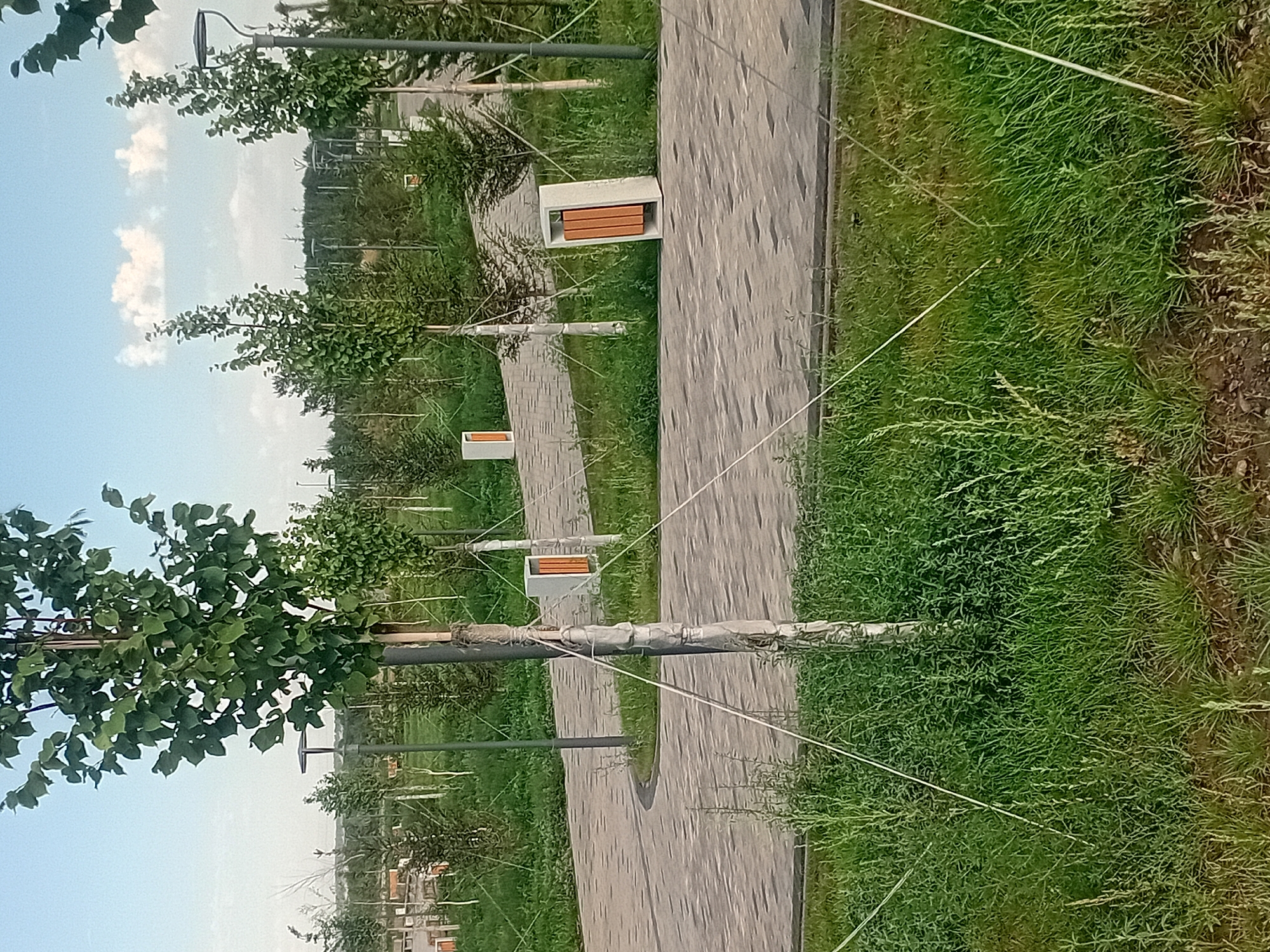 A paved walkway curves through a park with young trees and green grass. Two modern, rectangular trash receptacles with orange inserts are visible on the right side of the walkway. Streetlights are spaced throughout the park. The sky is blue with scattered clouds. The image appears to be taken in Semey, Kazakhstan, in a park setting.
