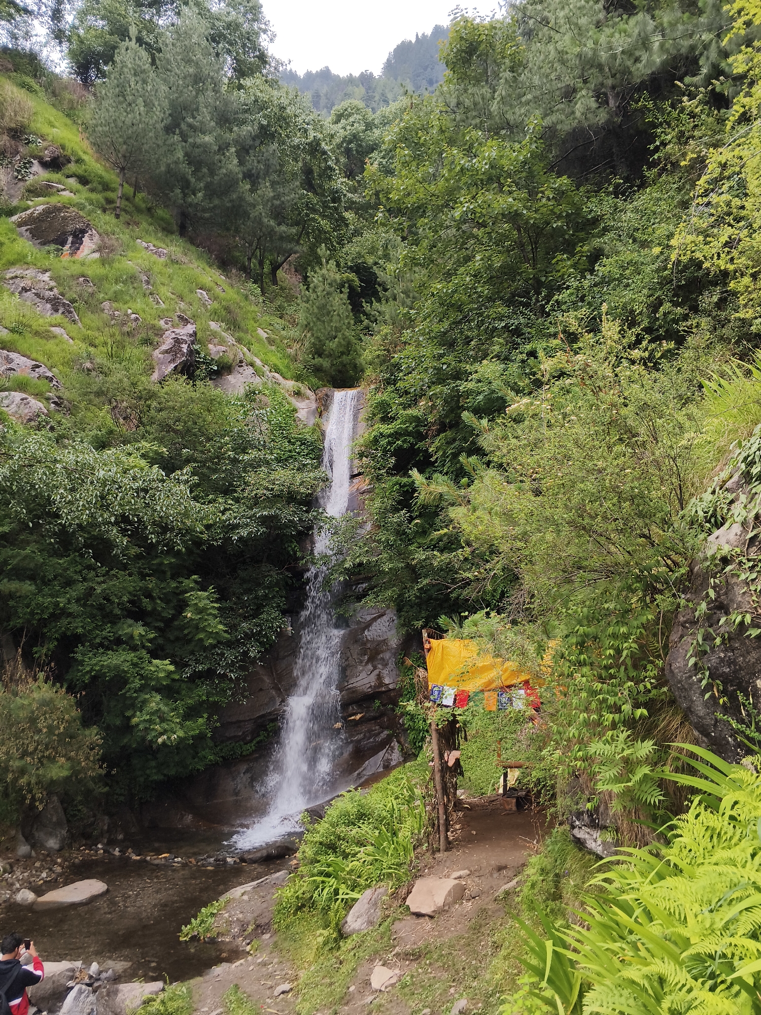 This media file captures a scenic view of a waterfall cascading down a rocky incline, surrounded by lush greenery and tall trees. In the foreground, a dirt path leads towards a small, rustic shelter adorned with a vibrant yellow tarp and prayer flags displaying Tibetan script. The scene is rich with natural beauty, suggesting a tranquil and somewhat secluded location, possibly a hiking trail or a natural attraction. The time of day appears to be overcast, indicated by the soft, diffused light, and the weather seems to be pleasant and possibly humid given the verdant foliage.
In the lower left corner, a person is visible, holding a phone and seemingly taking a photo or video of the surroundings, adding a human element to the natural landscape. The presence of prayer flags hints at a cultural or spiritual significance of the location, consistent with the provided context of Vashisht, India, a place known for its hot springs and temples. The overall mood is one of peaceful exploration and appreciation of nature. The prayer flags display white text on a blue background, and some appear to have stylized symbols. The yellow tarp is a prominent object, serving as a shelter and a visual focal point near the path. The water from the waterfall forms a small pool at its base, with clear water flowing over rocks and pebbles.