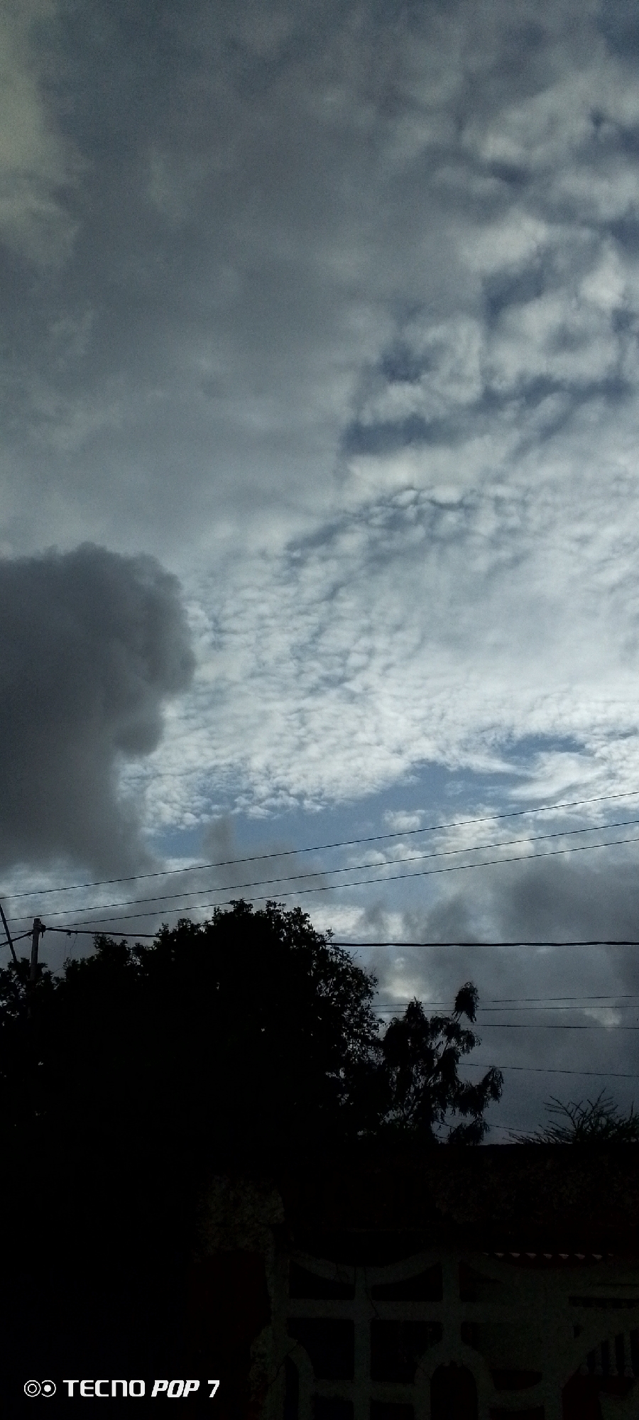 The image shows a cloudy sky over a silhouette of trees and a fence. Power lines are visible against the sky. The bottom left corner of the image contains the text "TECNO POP 7". The scene is likely outdoors, possibly in a residential area, given the presence of trees, a fence, and power lines. The lighting suggests it may be dusk or an overcast day. There are no people or specific actions depicted in the image. The location in Altagracia, Venezuela is not visually discernible from the image itself.
