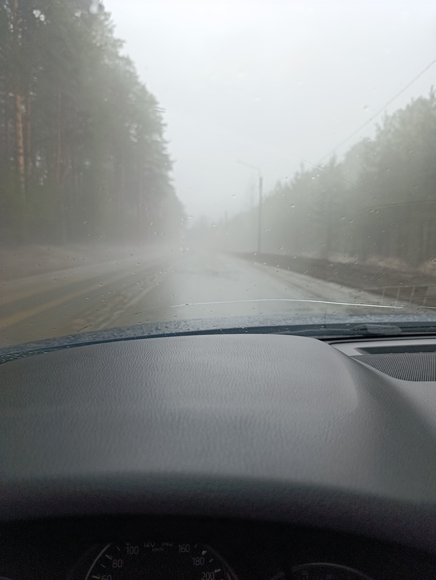 The image, taken from inside a vehicle, shows a view through the windshield on a rainy or foggy day. Raindrops are visible on the glass. The road ahead is wet, and visibility is significantly reduced due to the fog. On either side of the road are dense lines of trees, presumably forming a forest or wooded area. Streetlights are barely discernible through the fog. The dashboard of the vehicle is prominent in the foreground, with a speedometer visible but unreadable due to the close proximity.
I cannot pinpoint the exact location in Chaikovsky, Russia, as the image lacks identifying features specific to the city (landmarks, distinctive architecture, signage). Without further information, the location can only be described as a road through a forested area on a foggy or rainy day, potentially near the city of Chaikovsky.