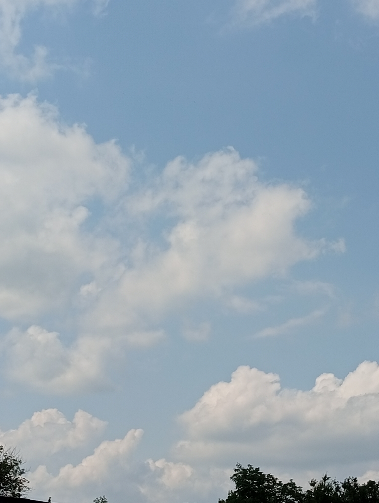 The image is a medium shot of a partly cloudy sky over a dark treeline. The sky is a pale blue with scattered white cumulus clouds of varying sizes. The clouds are illuminated by sunlight, creating bright white areas and softer gray shadows. In the lower portion of the image, a dark mass of trees is visible, with some foliage appearing very dark green and others lighter green. A portion of what appears to be a dark roofline is visible at the very bottom of the image. The scene is outdoors and appears to be during daylight hours. The location is Unknown, Unknown.