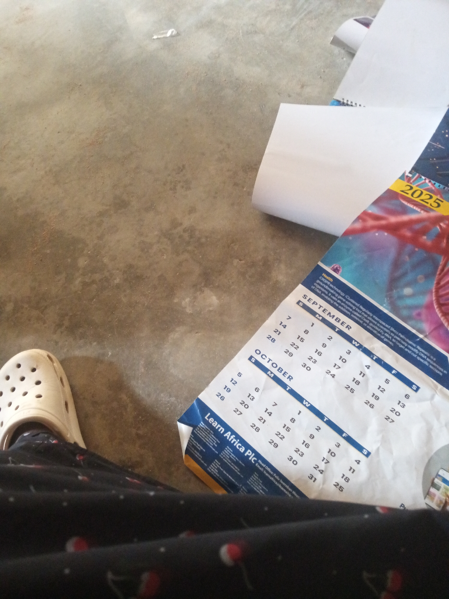 The image shows a close-up view of a person's left foot, clad in a white Croc shoe, resting on a concrete floor. The person is also wearing dark patterned pants with red and white speckles. A portion of a wall calendar is visible, showing the months of September and October of the year 2025. The calendar includes the text "Learn Africa Plc" and details about "CRISPR technology." The scene appears to be indoors, with the concrete floor suggesting a utilitarian or unfinished space. The lighting is natural, suggesting daytime. There are no clear indications of the weather or the specific location beyond what's written on the calendar. The overall mood is casual and everyday.