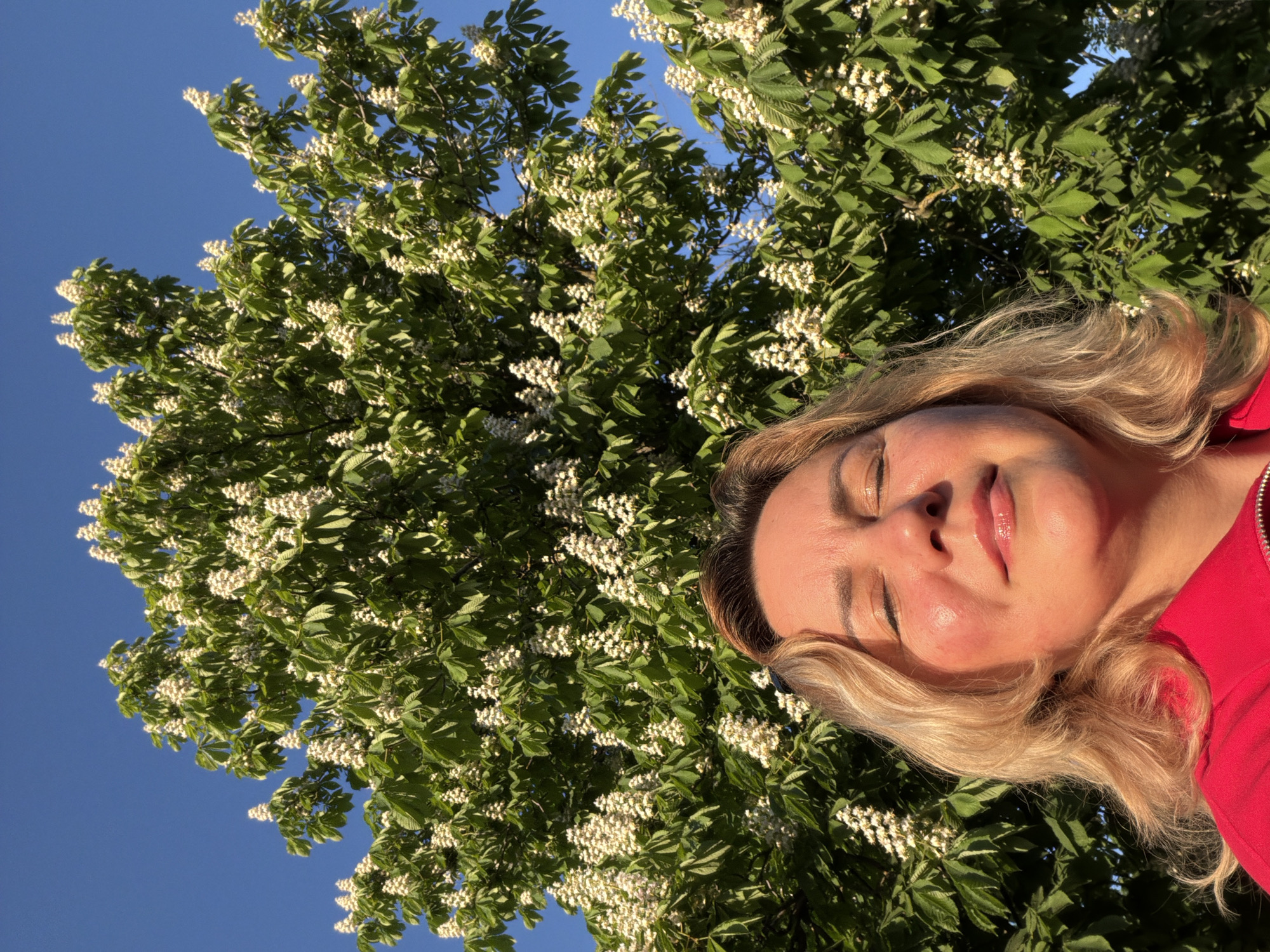 A woman with blond hair and a red shirt is positioned to the right of a large tree filled with green leaves and white flowers. The background shows a clear blue sky. The picture appears to be taken at Leningradskaya, Russia.